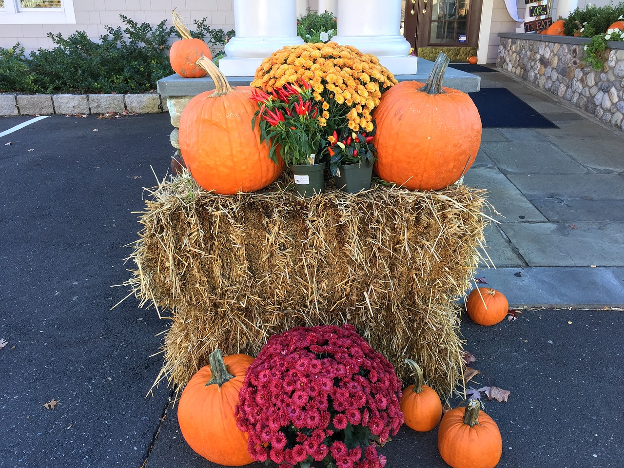 halloween pumpkins hay free photo