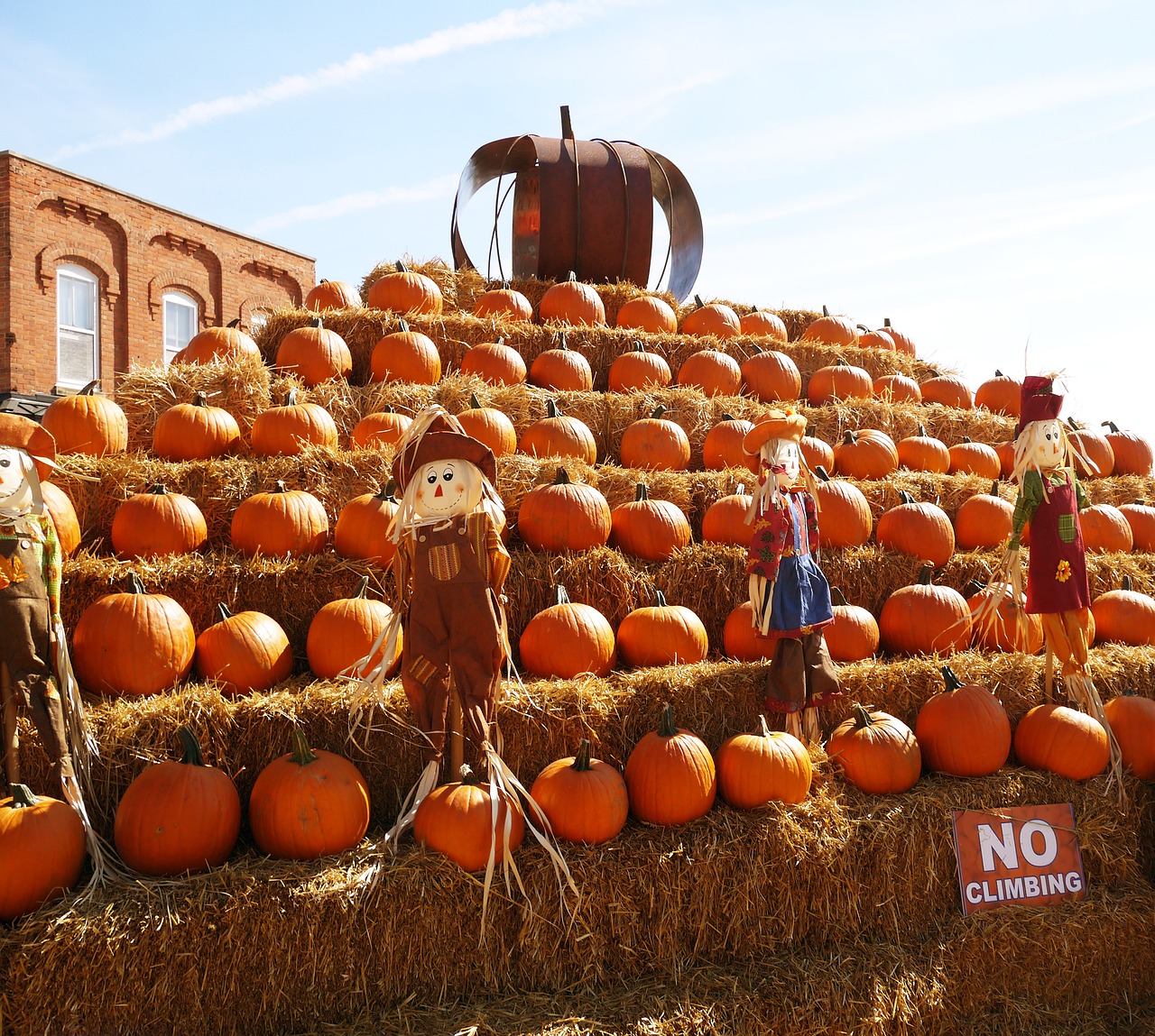 halloween orange october free photo