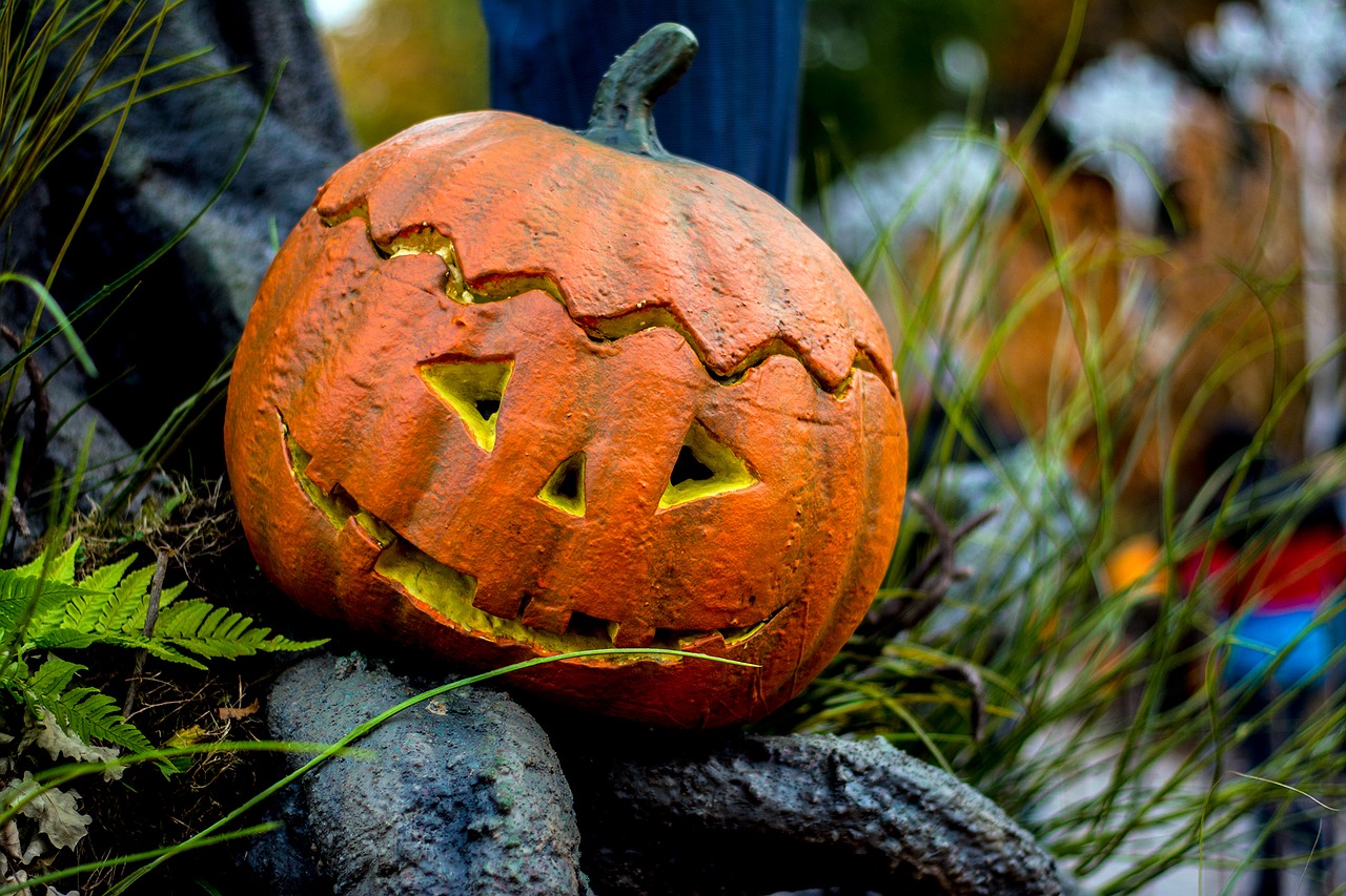 halloween autumn pumpkin free photo