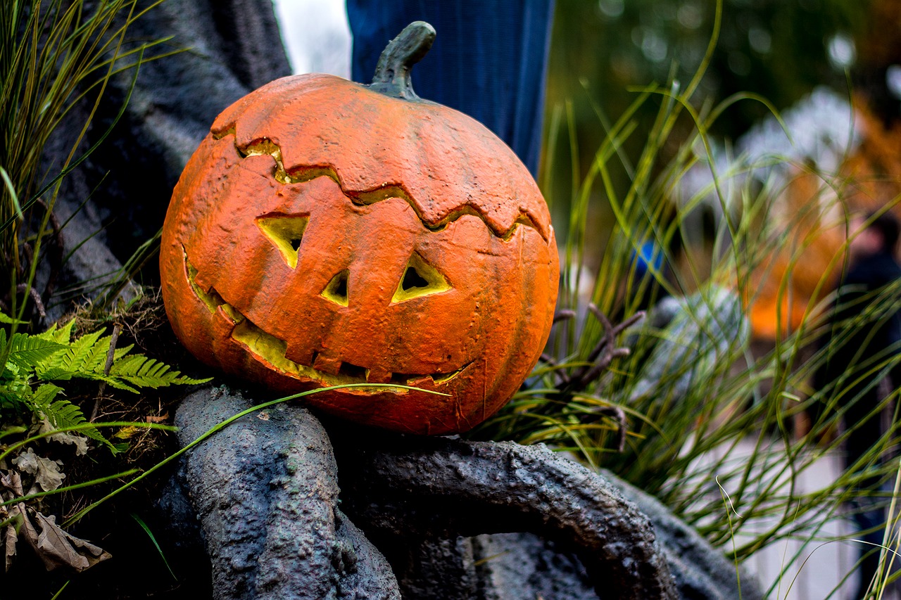 halloween autumn pumpkin free photo