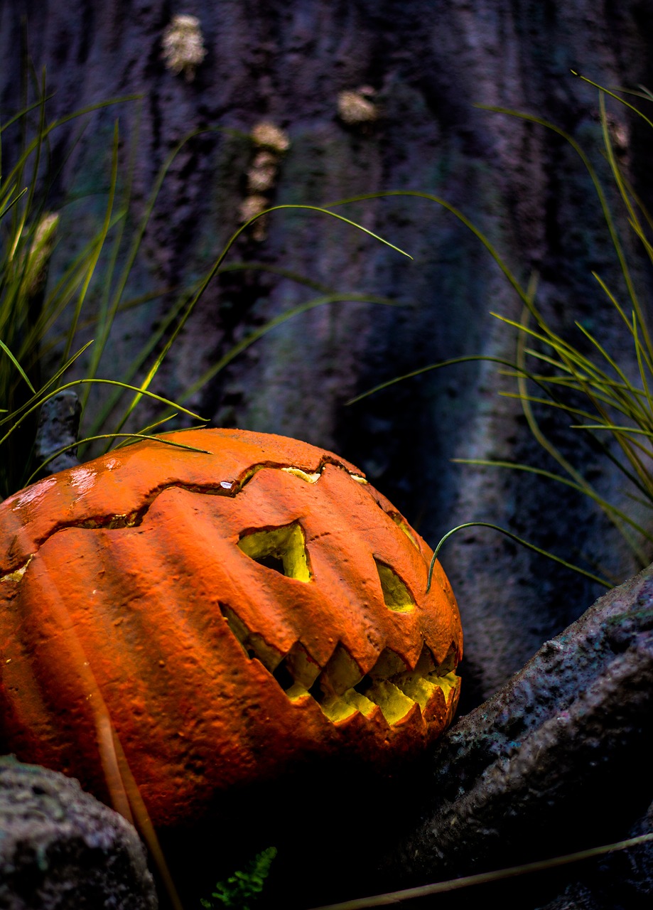 halloween autumn pumpkin free photo