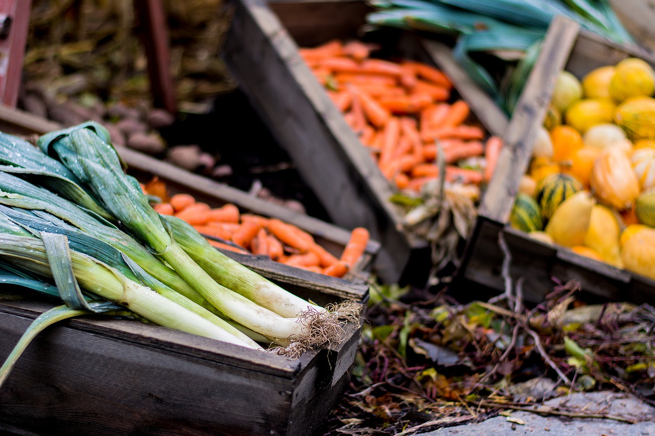 halloween autumn vegetables free photo