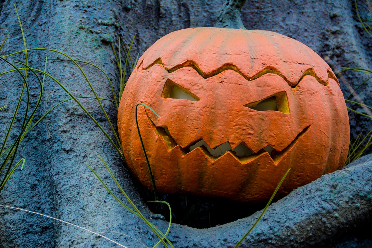 halloween autumn pumpkin free photo