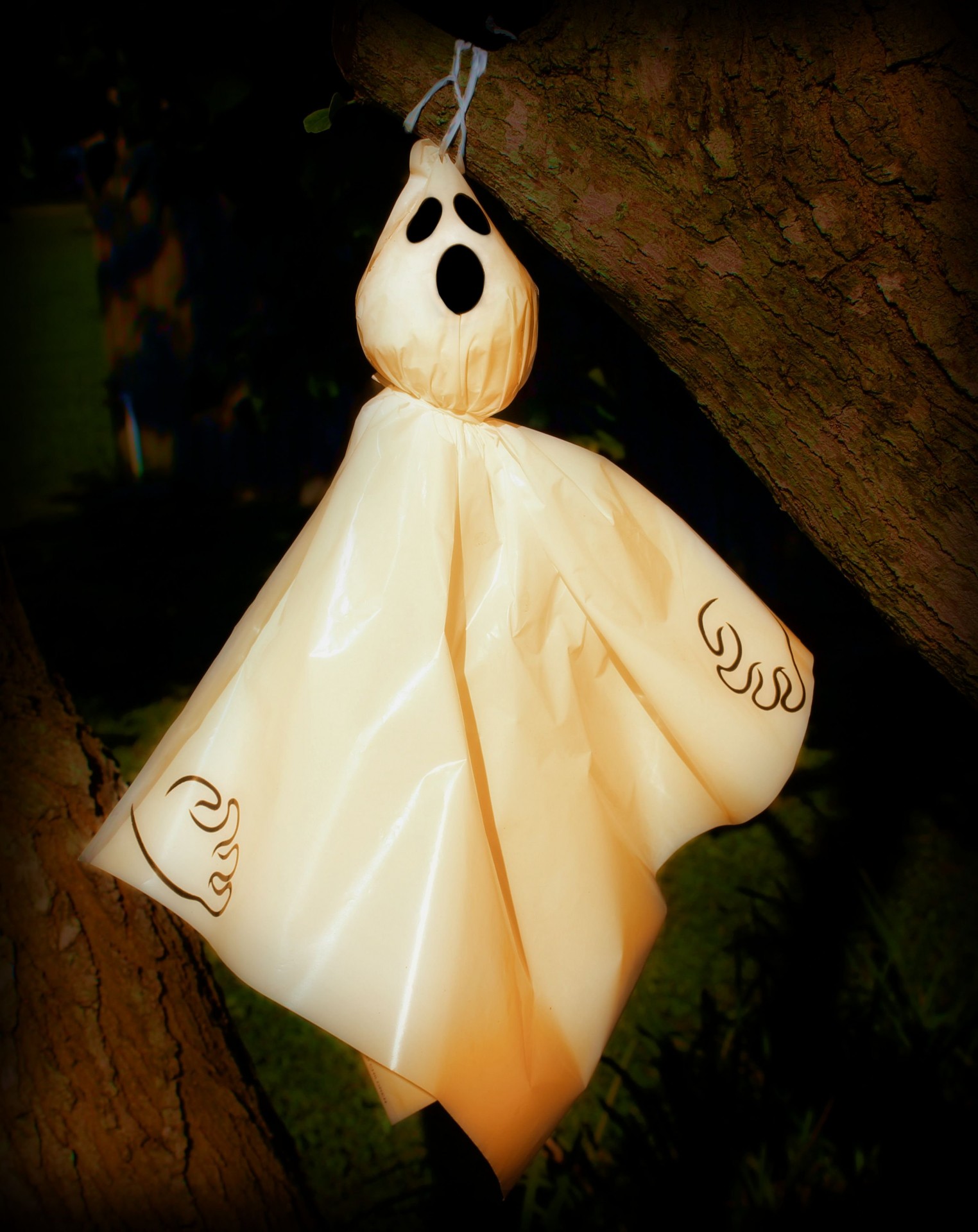 halloween ghost hanging free photo
