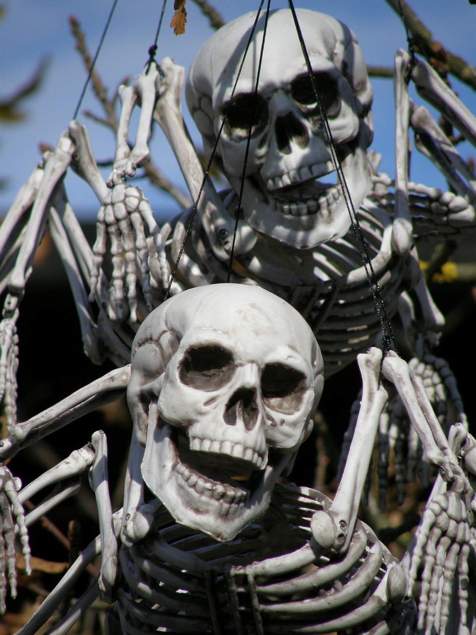 halloween legoland skeletons free photo