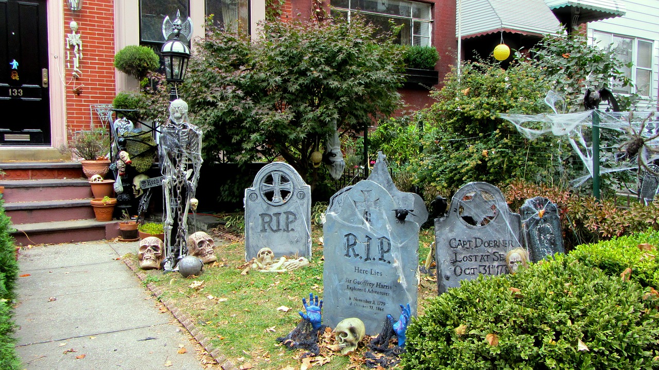 halloween creepy skeletons free photo