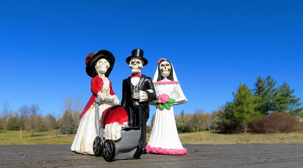 halloween skeleton wedding free photo