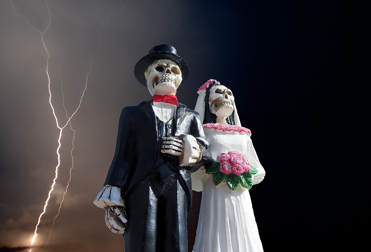 halloween skeleton wedding free photo