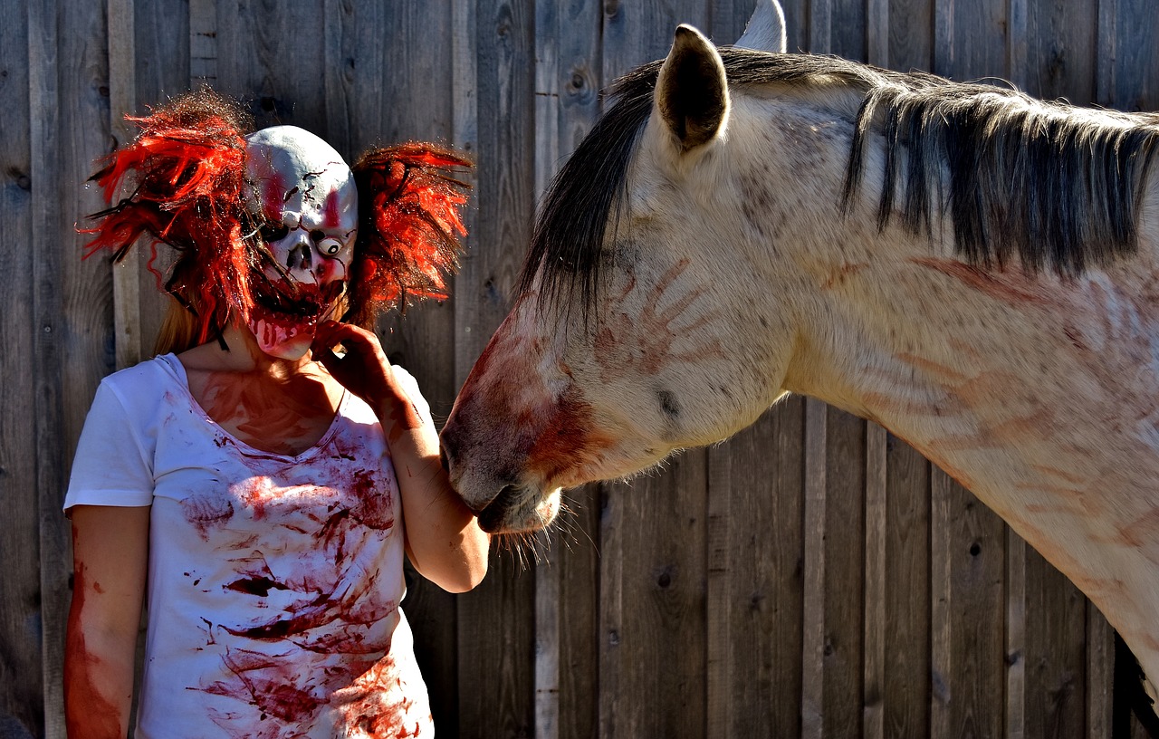 halloween bloody horror clown free photo