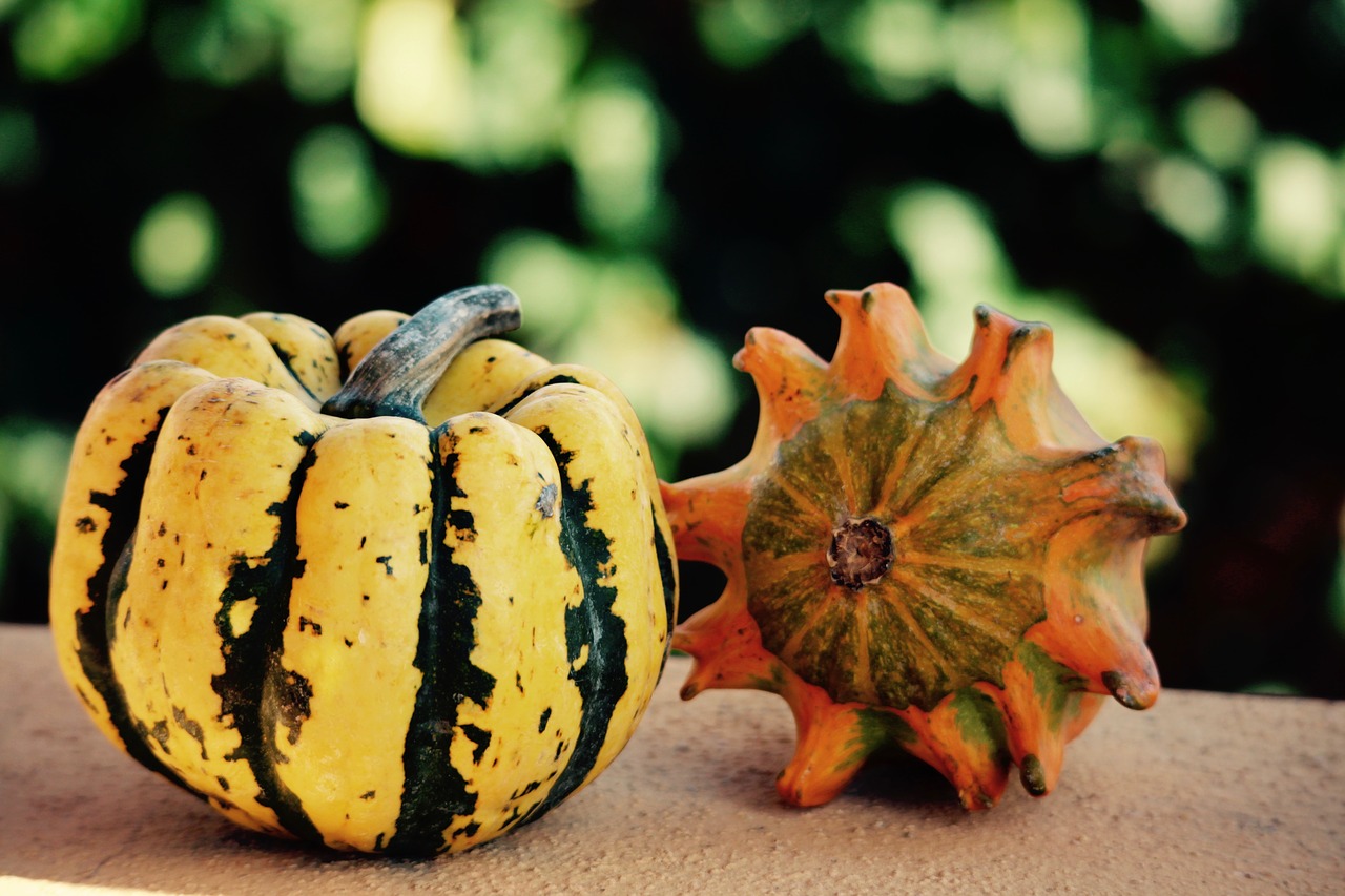 halloween halloween party pumpkins free photo