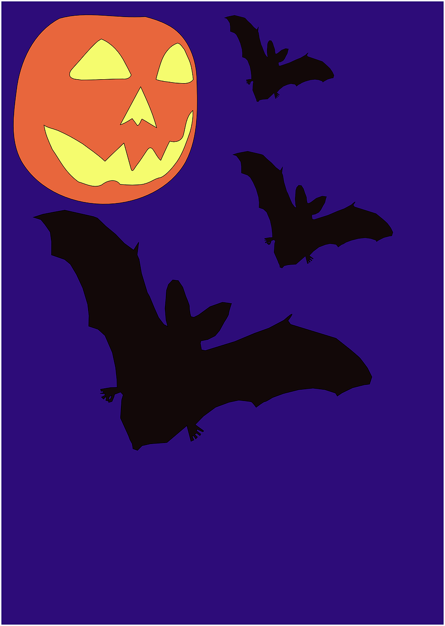 halloween bats night free photo