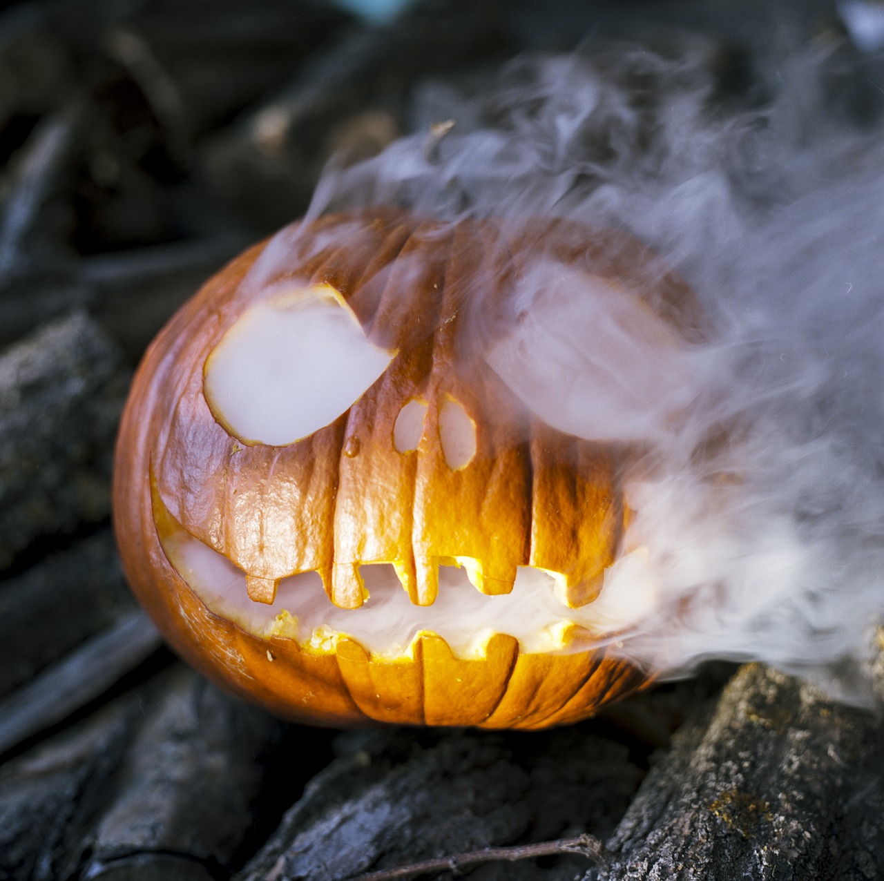 halloween spooky jack-o-lantern free photo