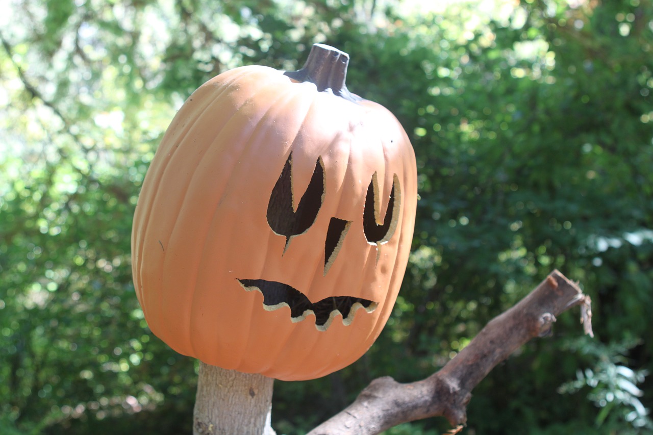 halloween  holiday  pumpkin free photo