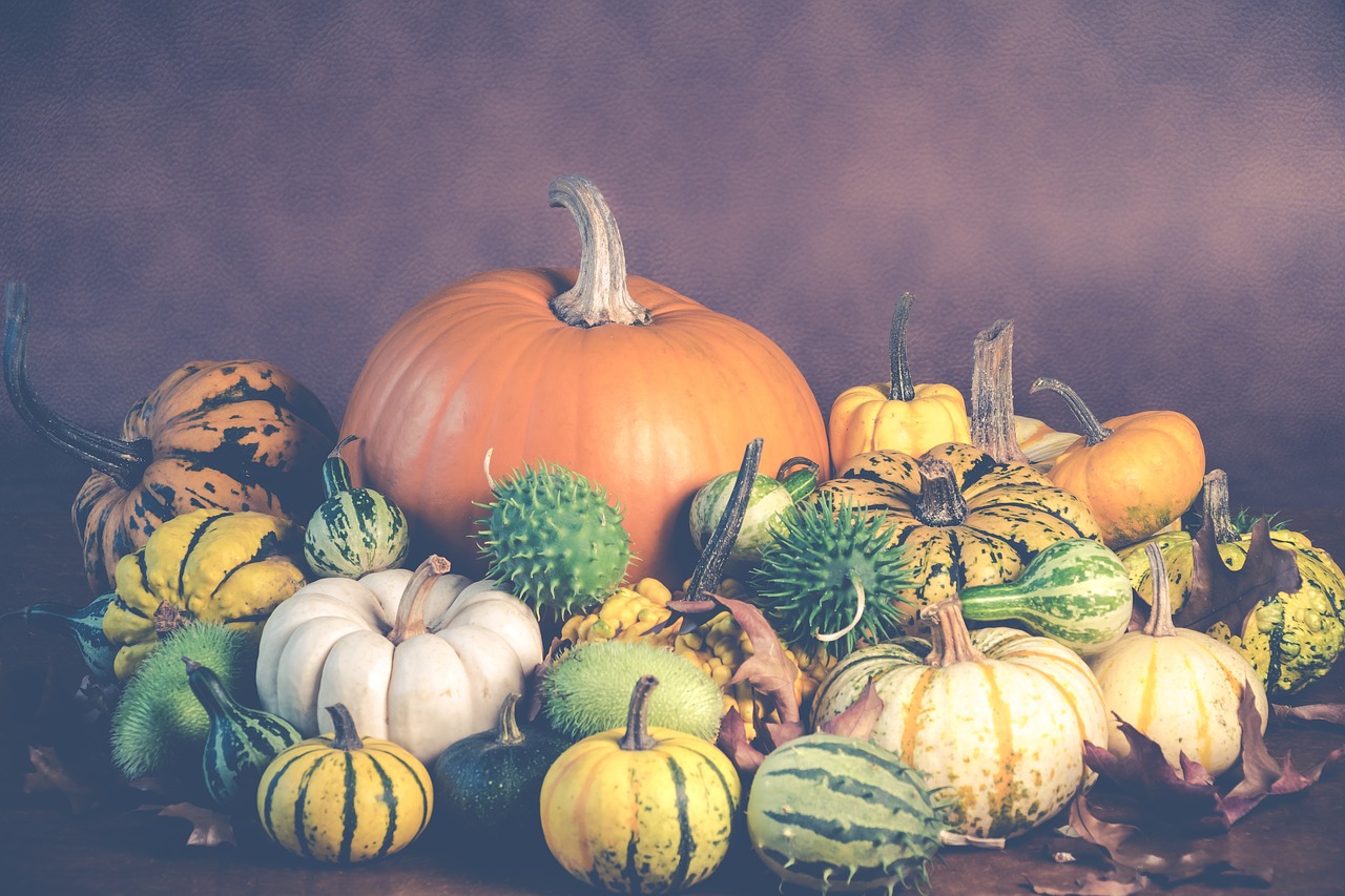 halloween  pumpkins  pumpkin free photo