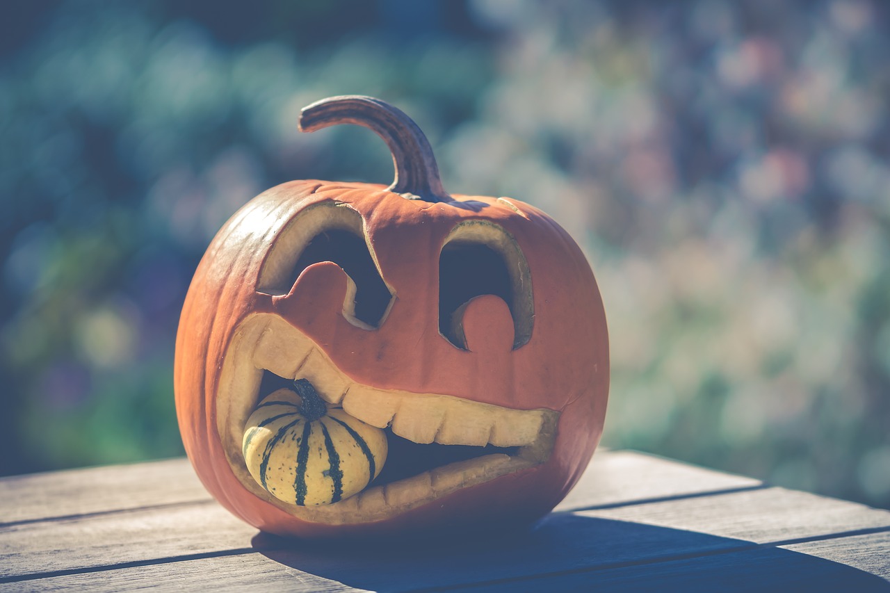 halloween  pumpkin  autumn free photo