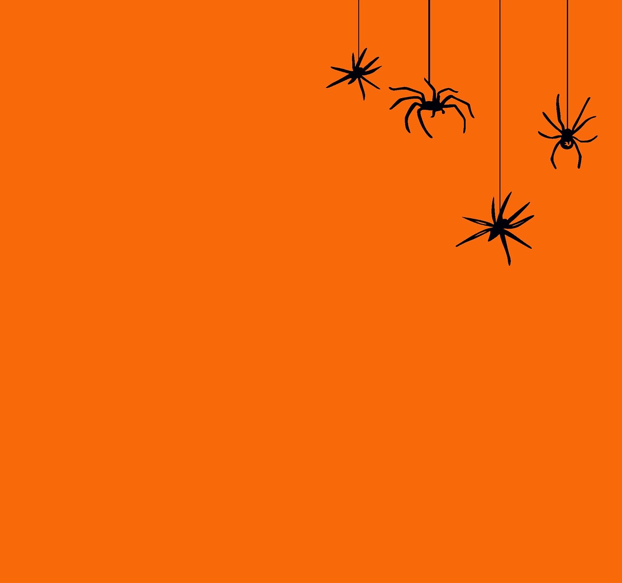 halloween  background  orange free photo