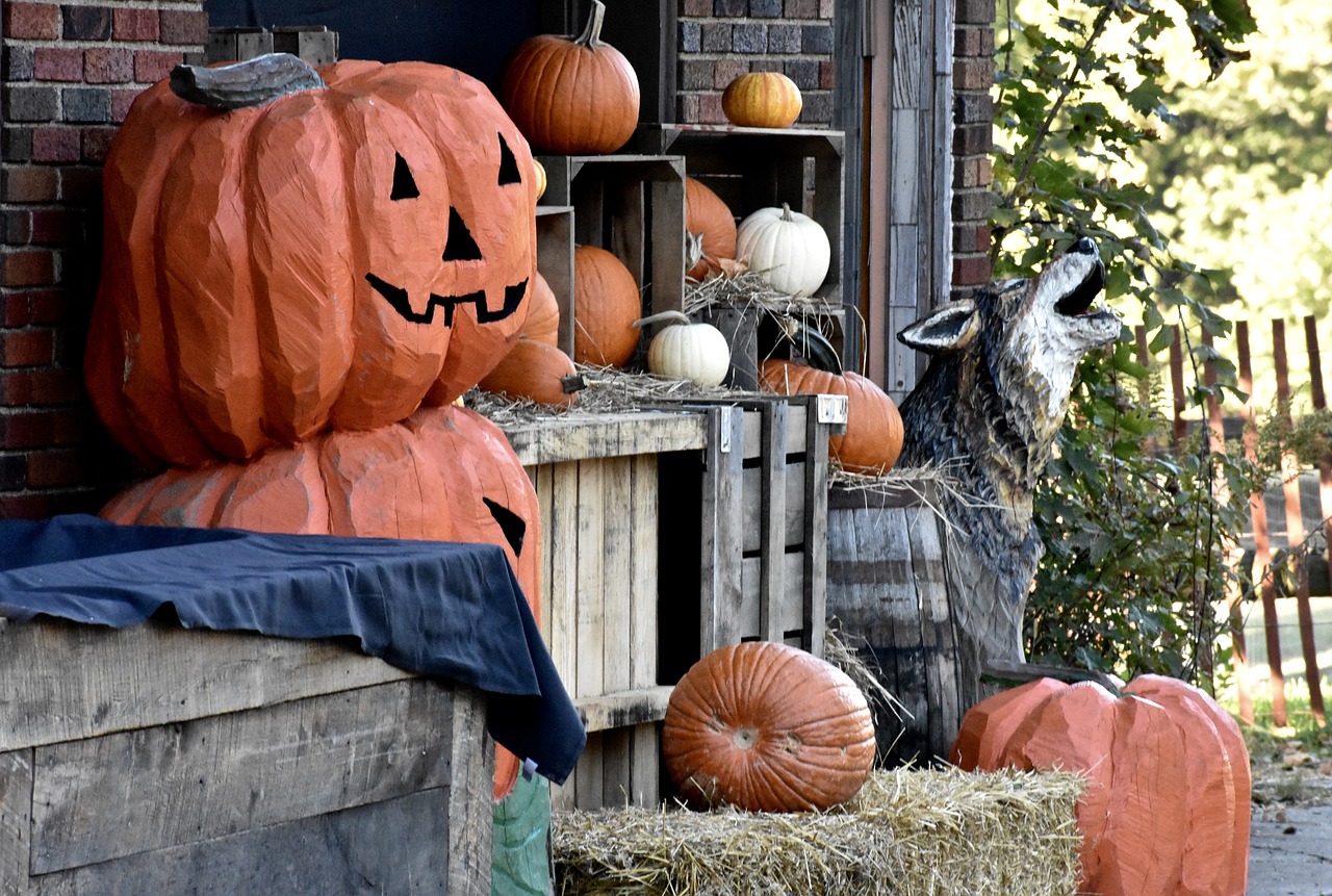 halloween  fall  decorations free photo