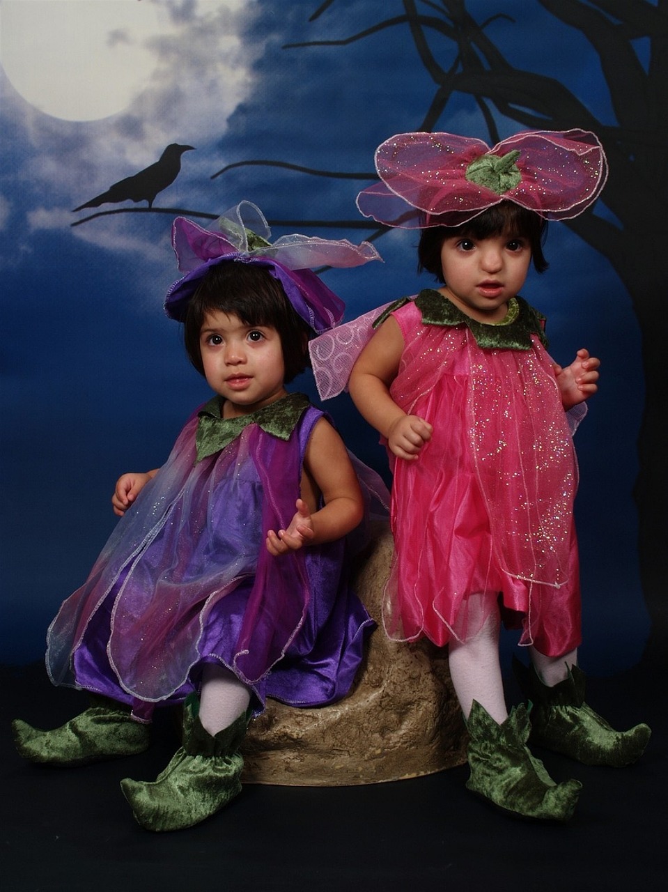 halloween costume twins free photo