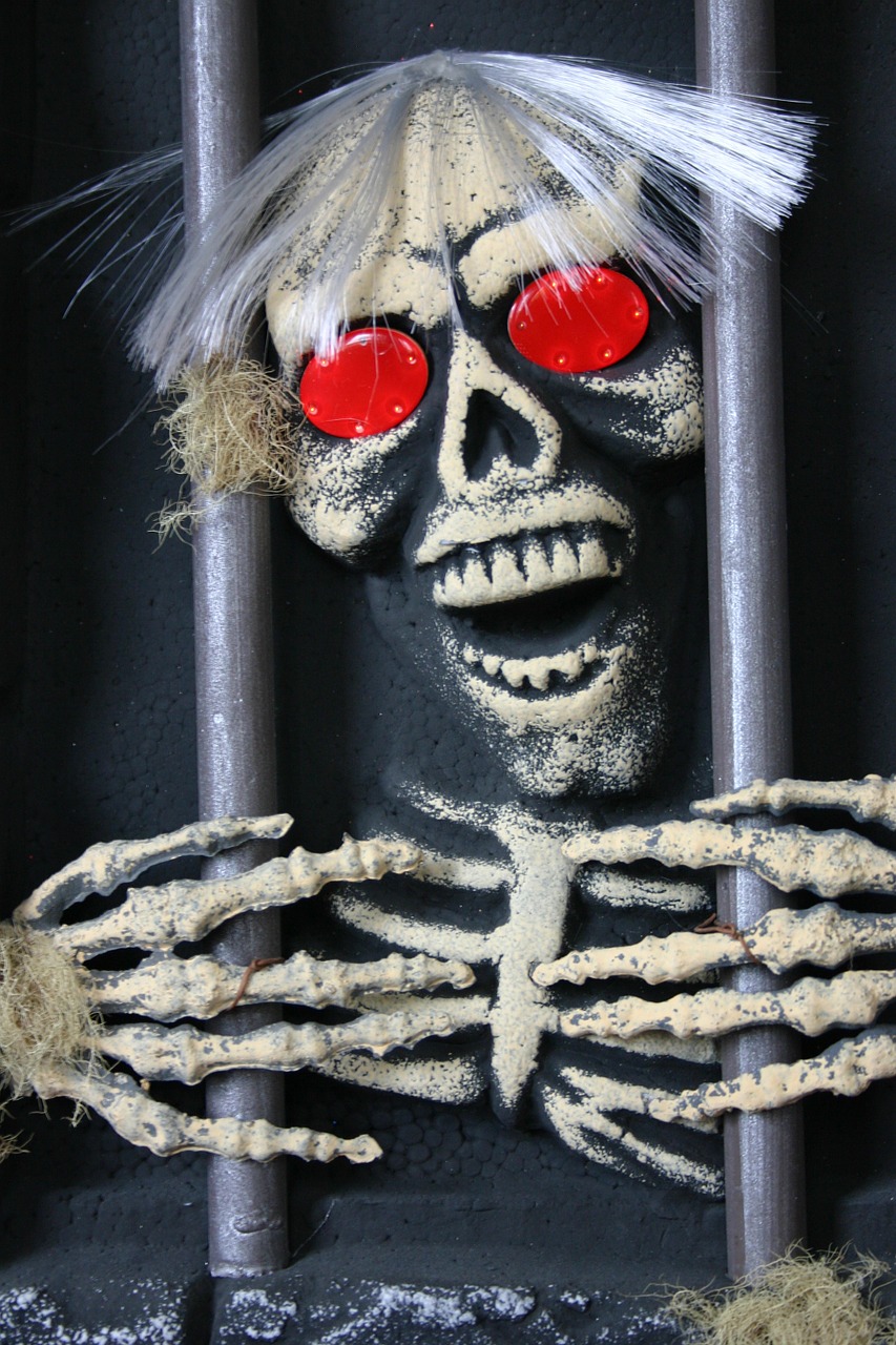 halloween skeleton weird free photo