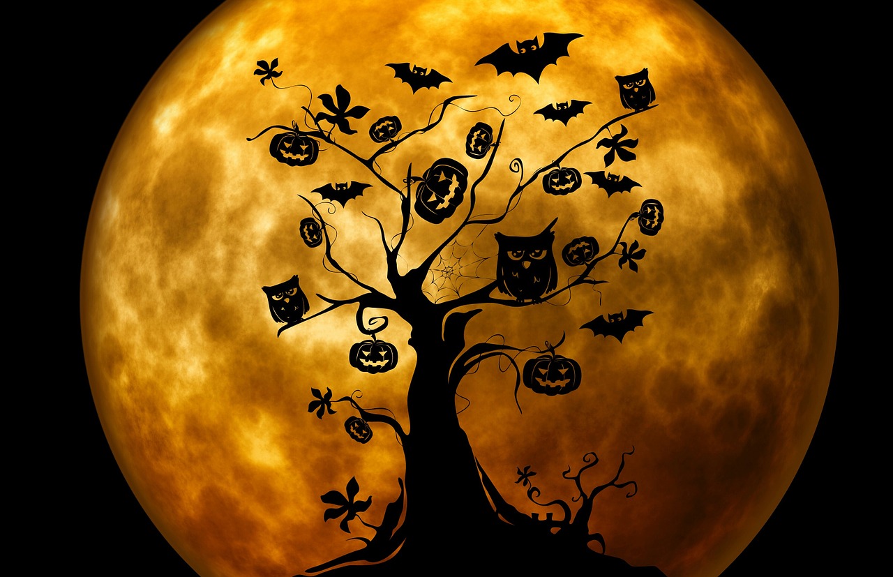 halloween tree owl free photo