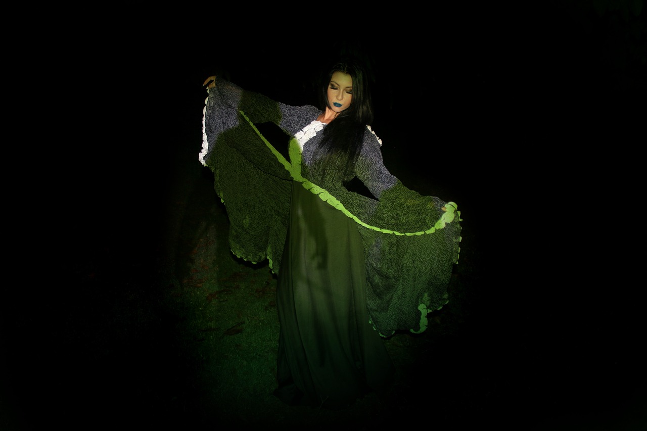 halloween witch night free photo