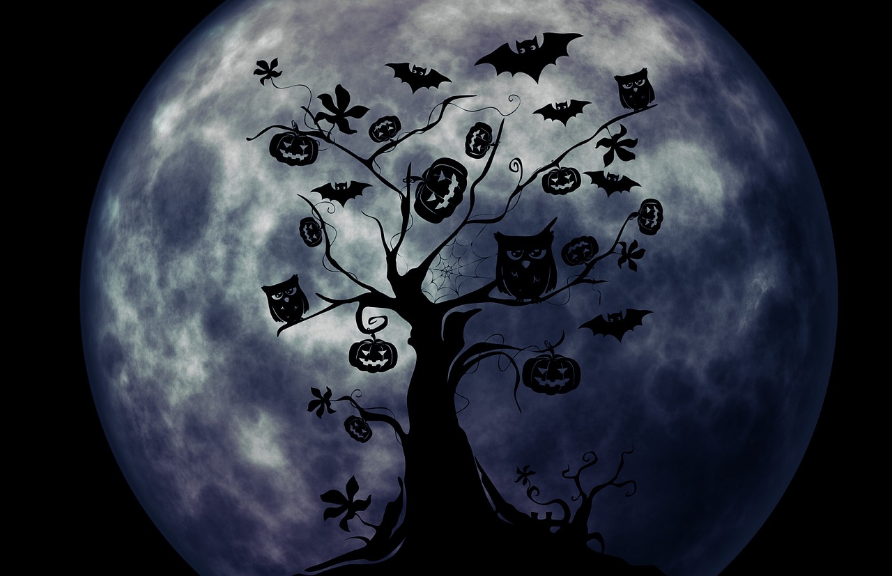 halloween tree owl free photo
