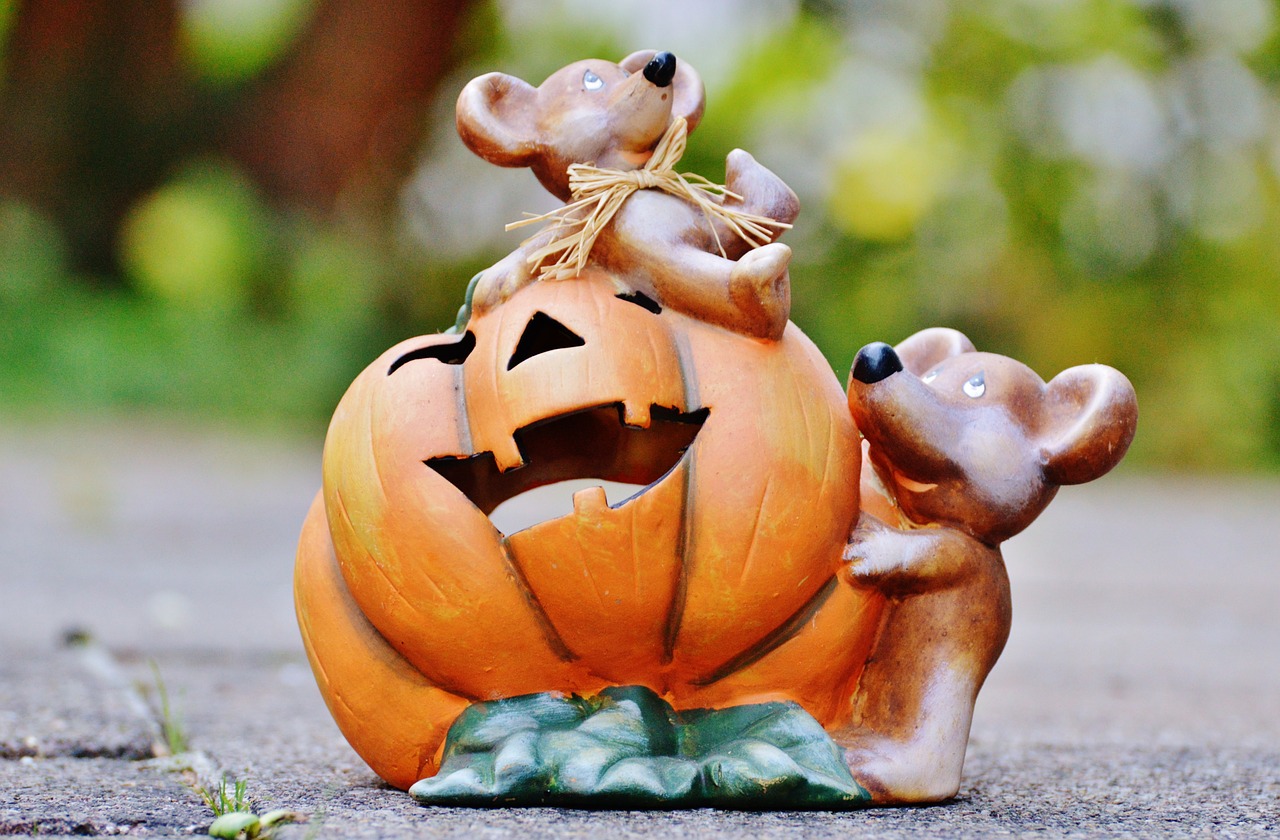 halloween pumpkin mice free photo