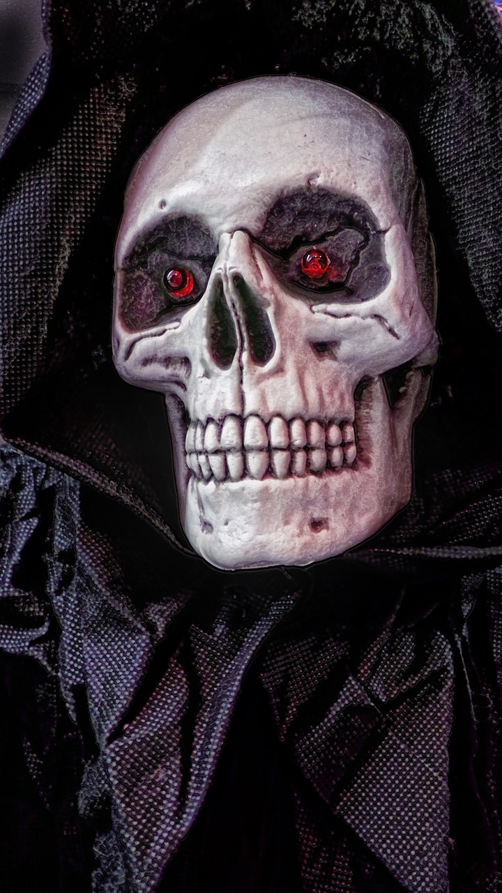 Halloween,mask,skull,holiday,halloween costume - free image from needpix.com
