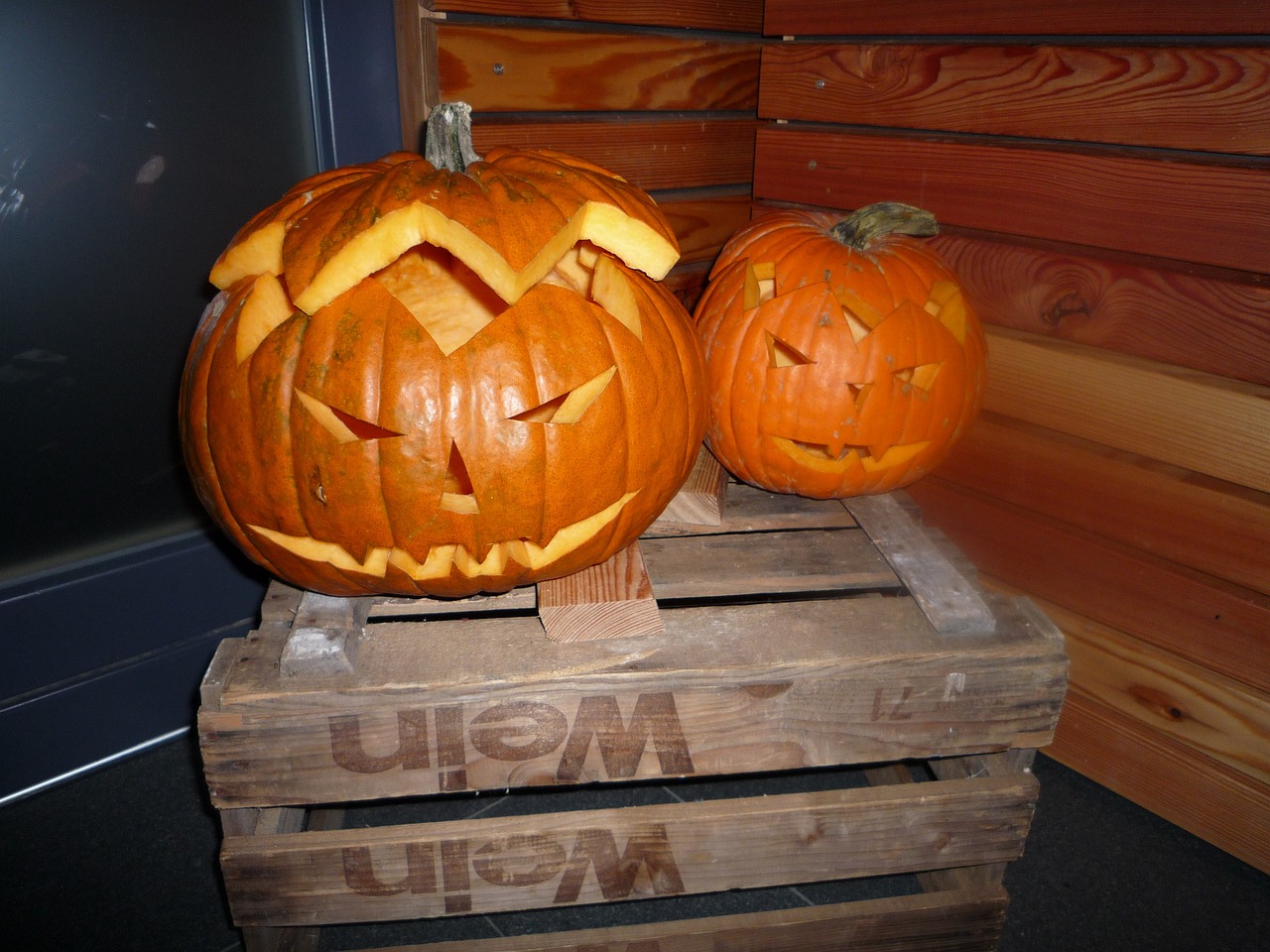 halloween pumpkins autumn orange free photo