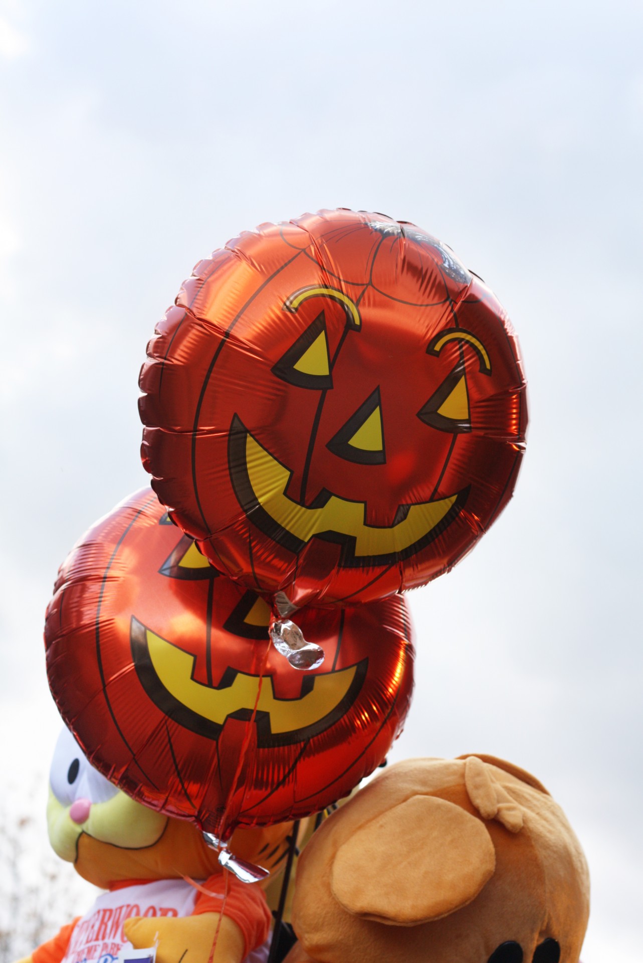 jack o' lantern balloons decoration free photo