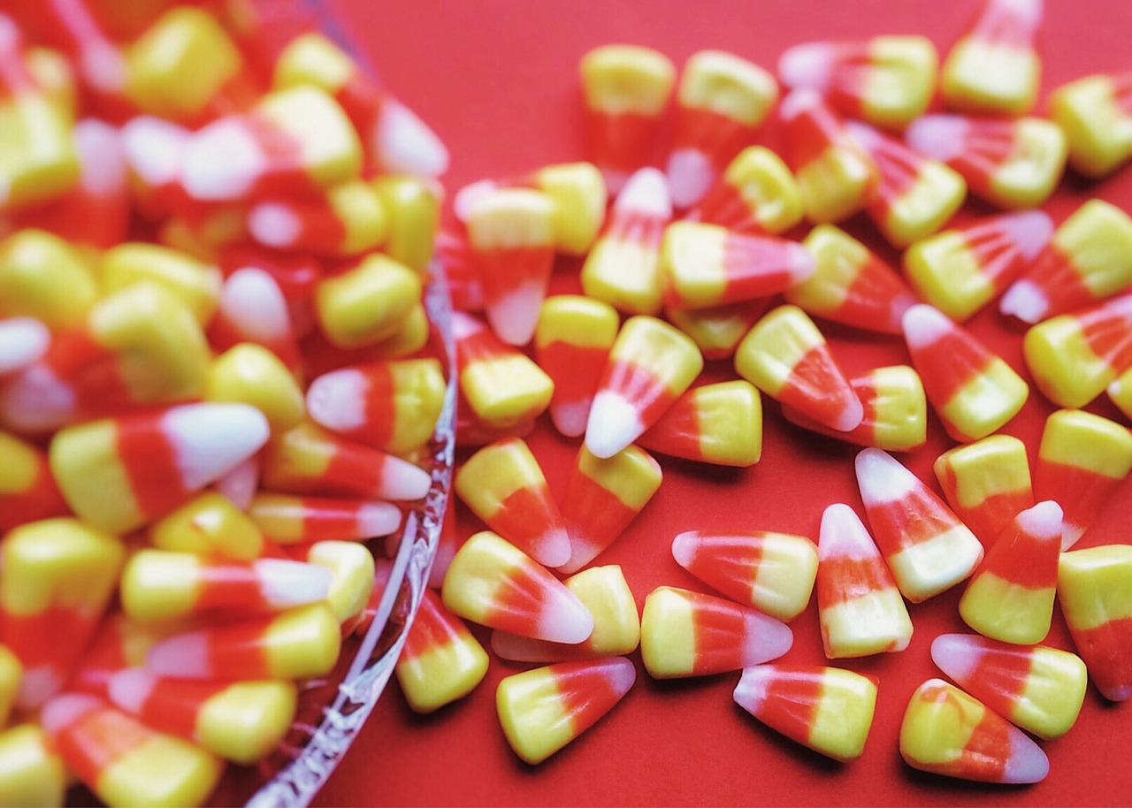 halloween candy candy corn candy free photo