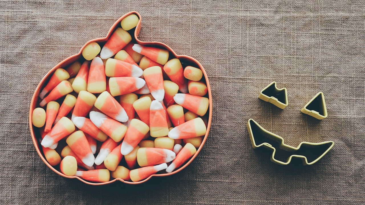 halloween candy candy candy corn free photo