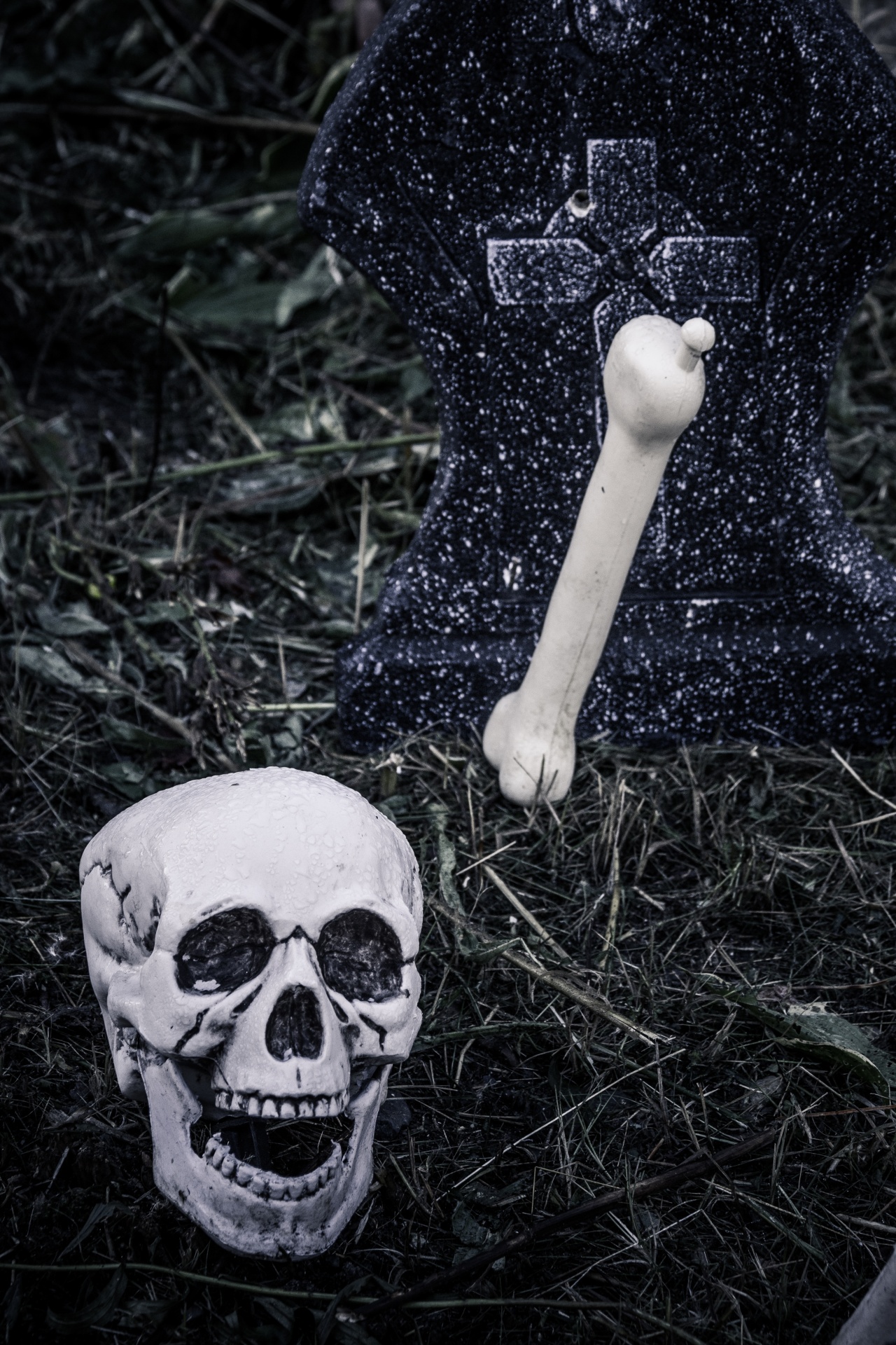 black cemetery creepy free photo