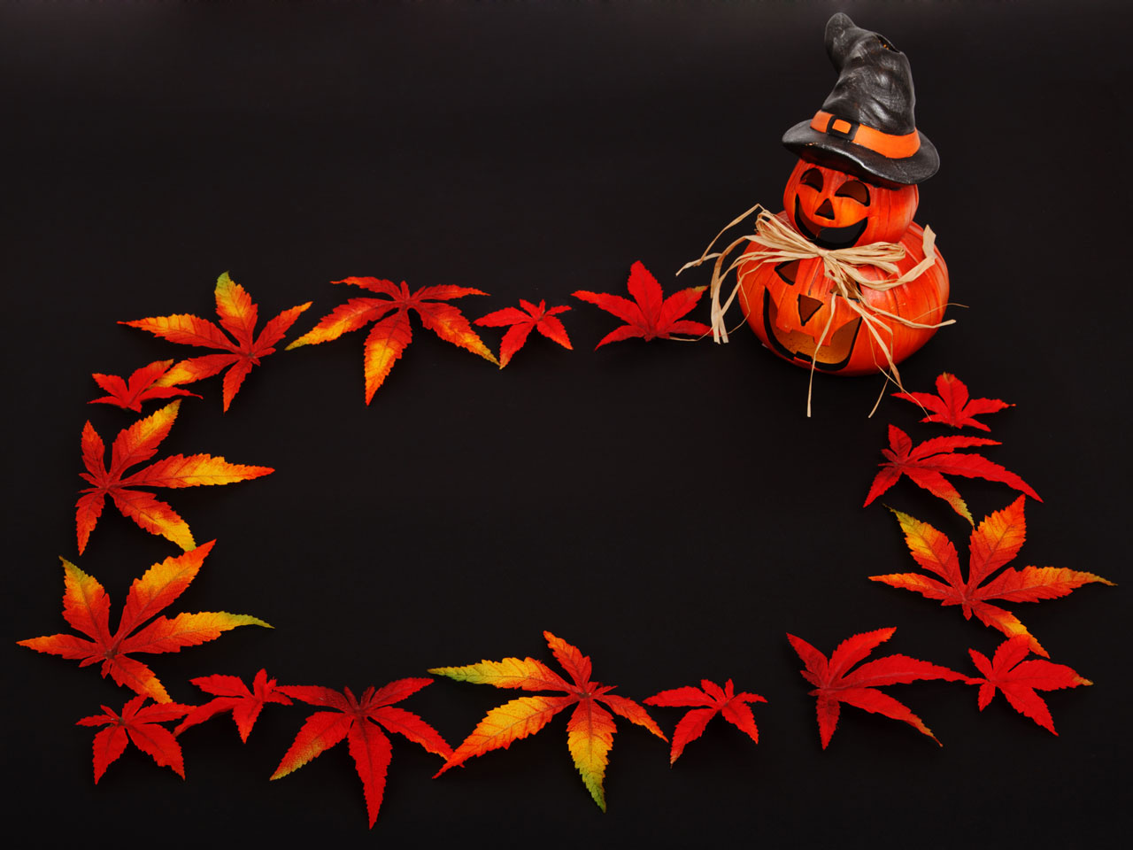 pumpkin autumn background free photo