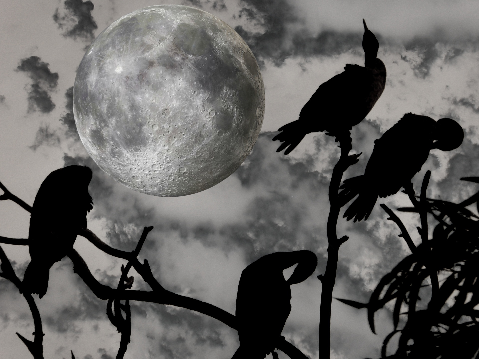 halloween scary moon free photo