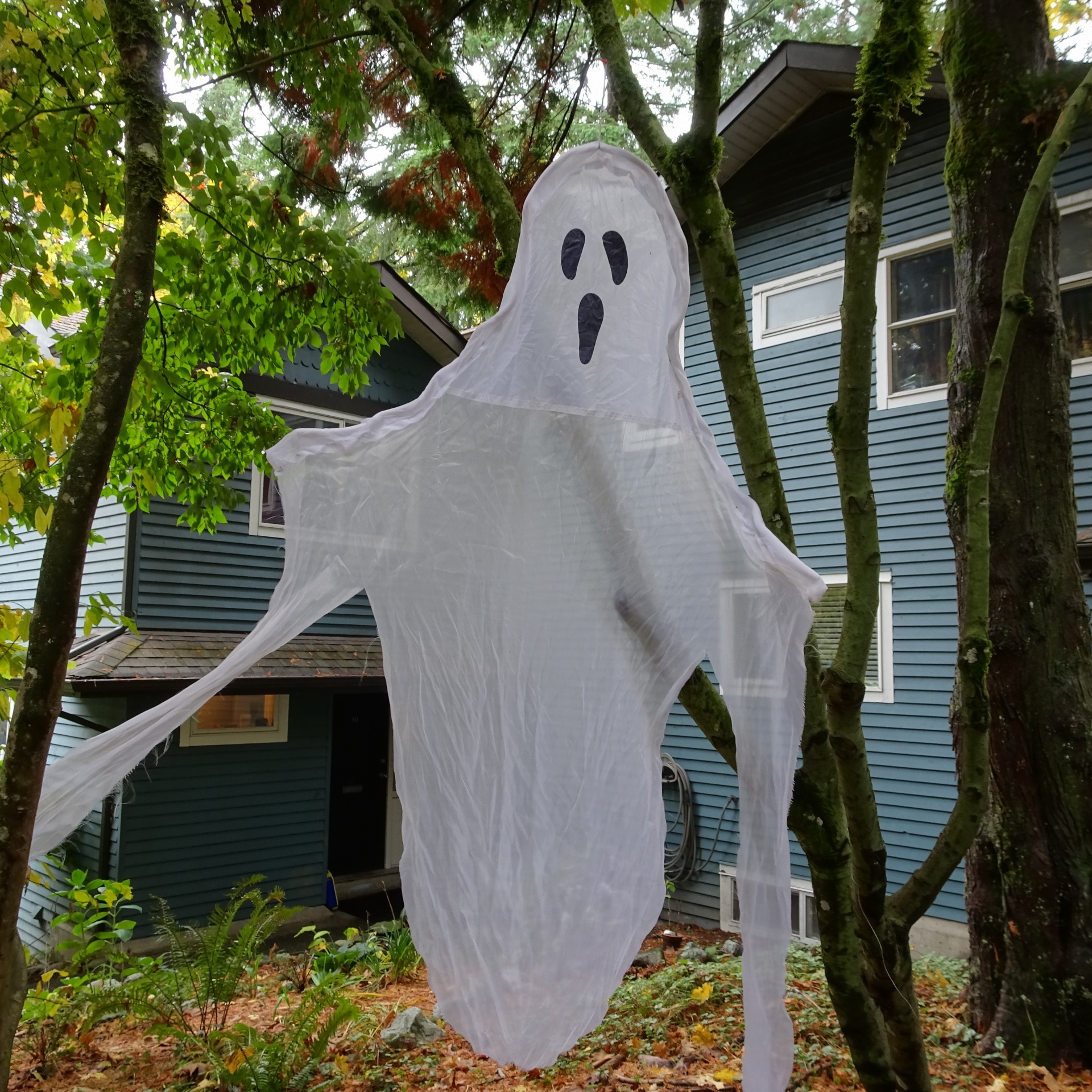 halloween ghost closeup free photo