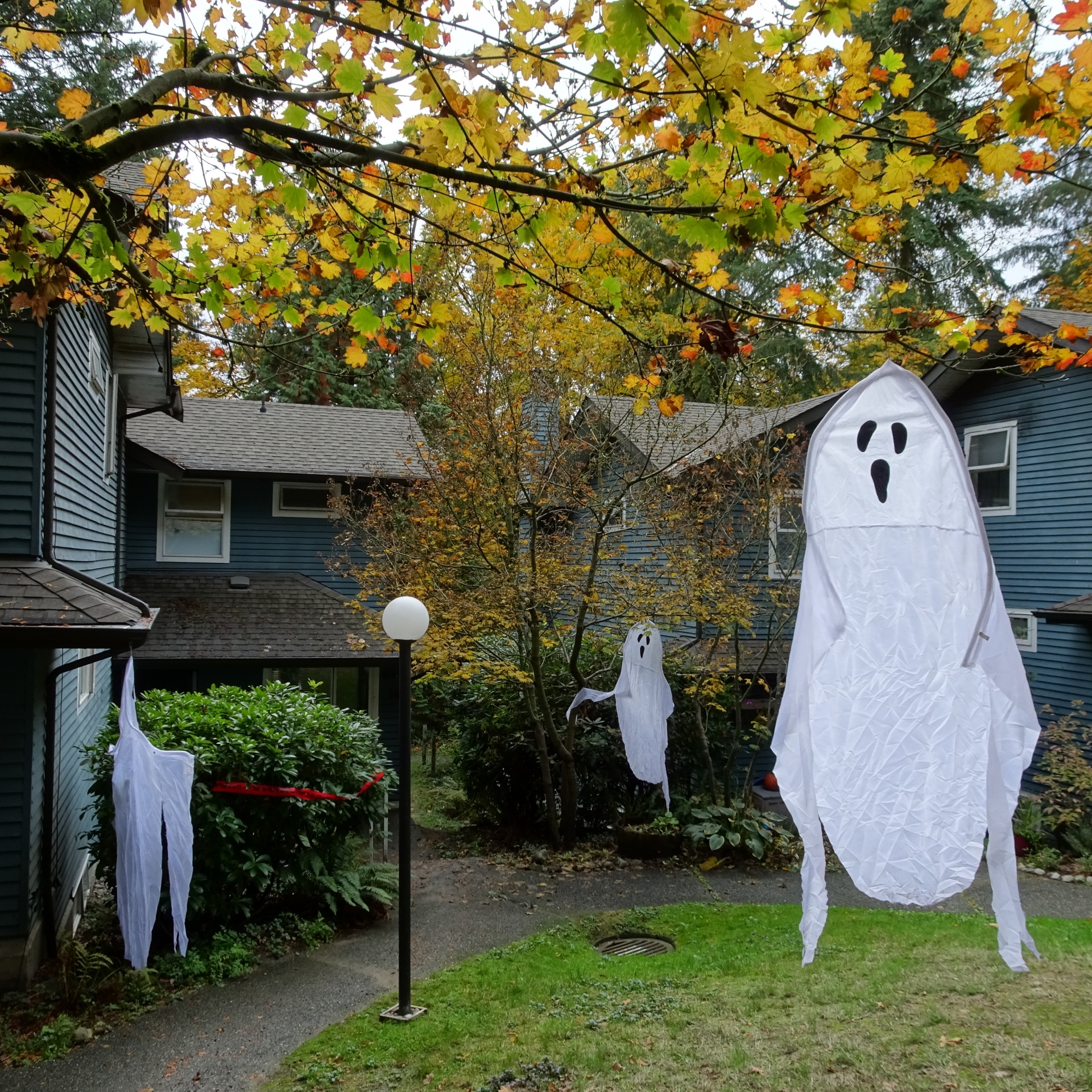 halloween ghosts closeup free photo