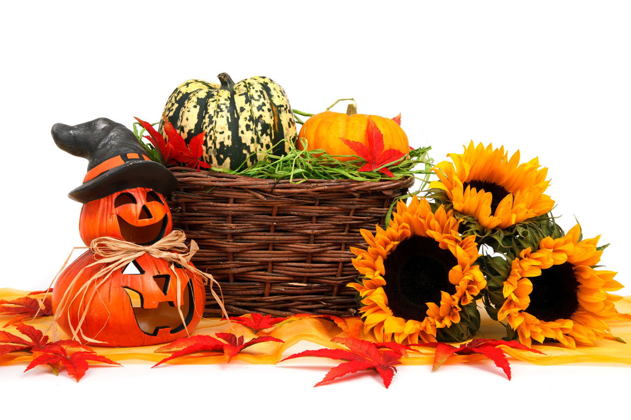 autumn basket celebration free photo