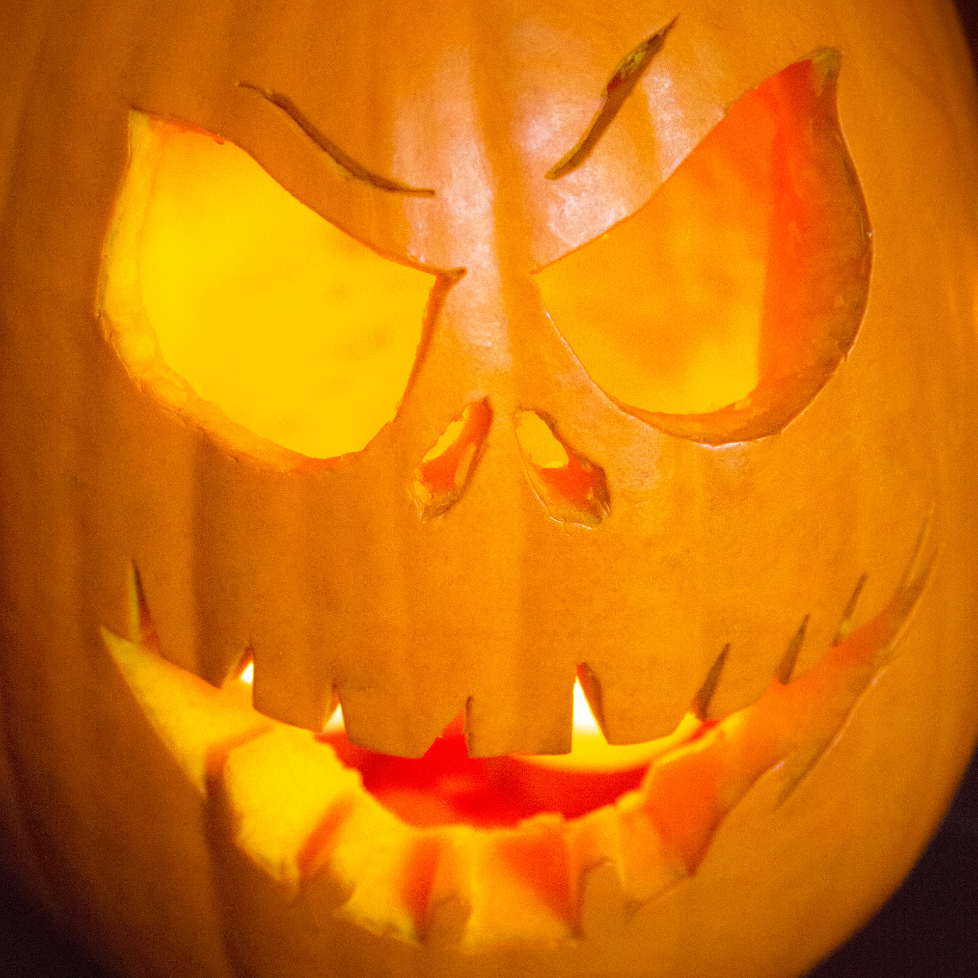 decoration,evil,face,faces,glowing,halloween,holiday,horror,jack o lantern,...