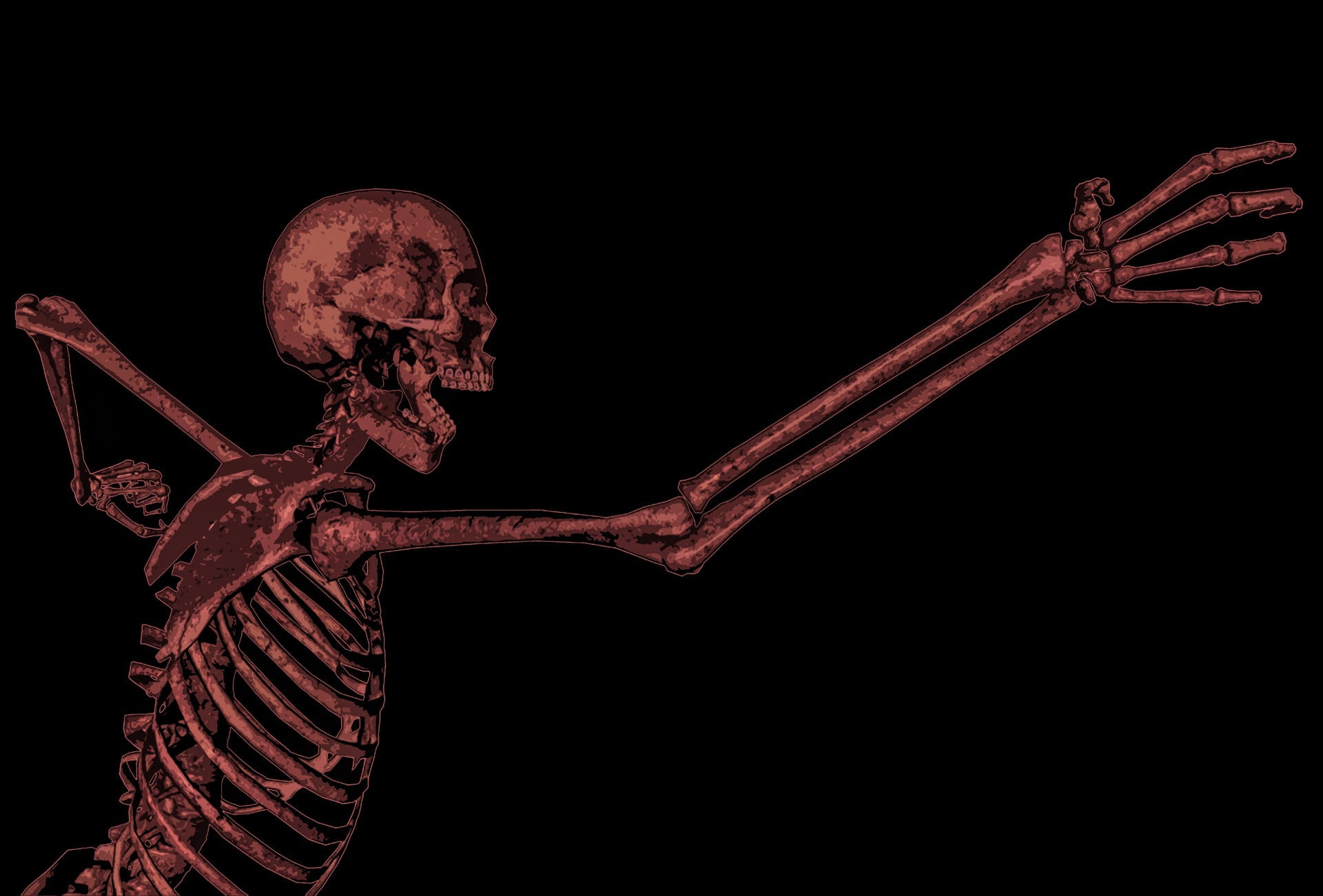 skull halloween background free photo