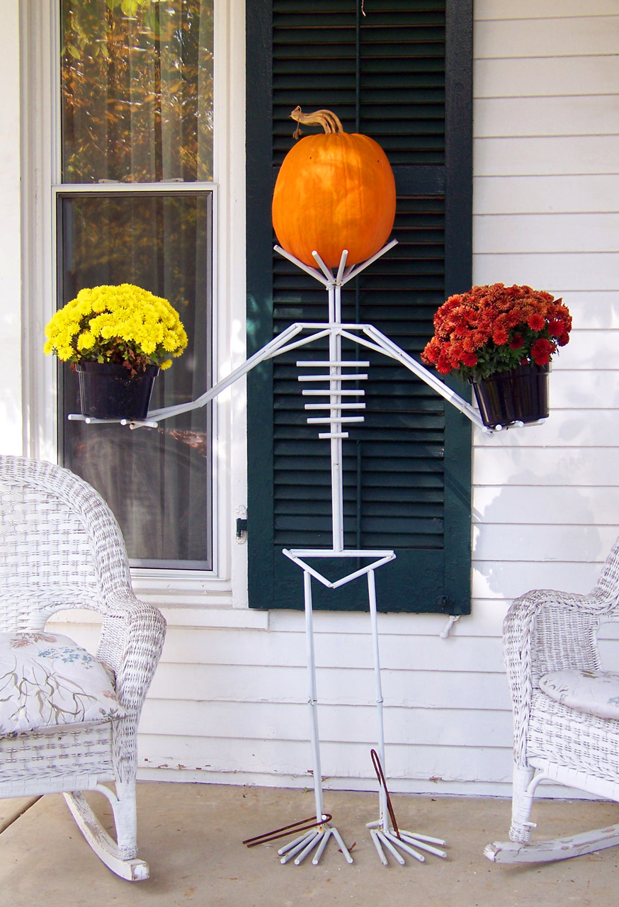 skeleton pumpkin autumn free photo