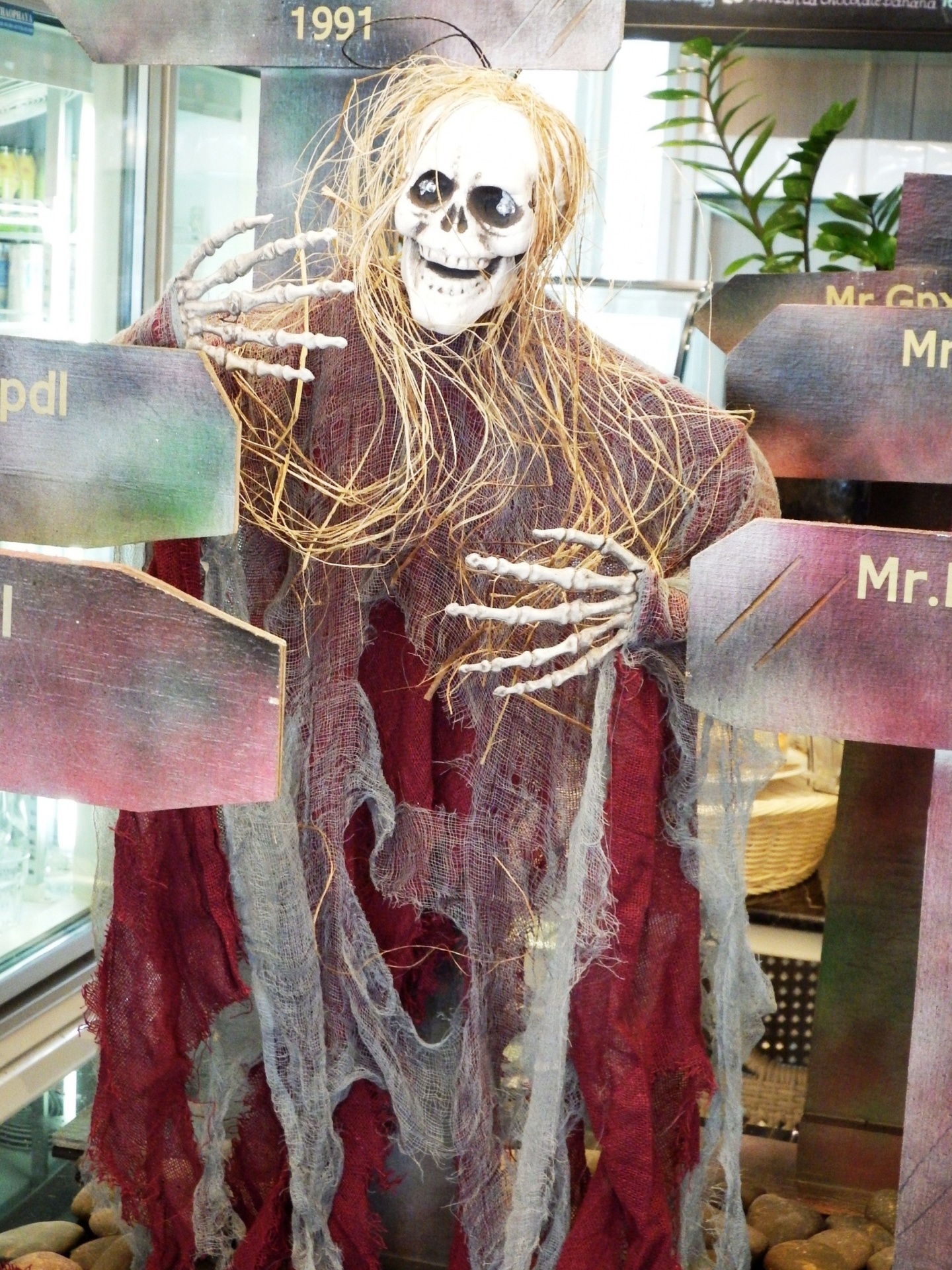 halloween skeleton scary free photo