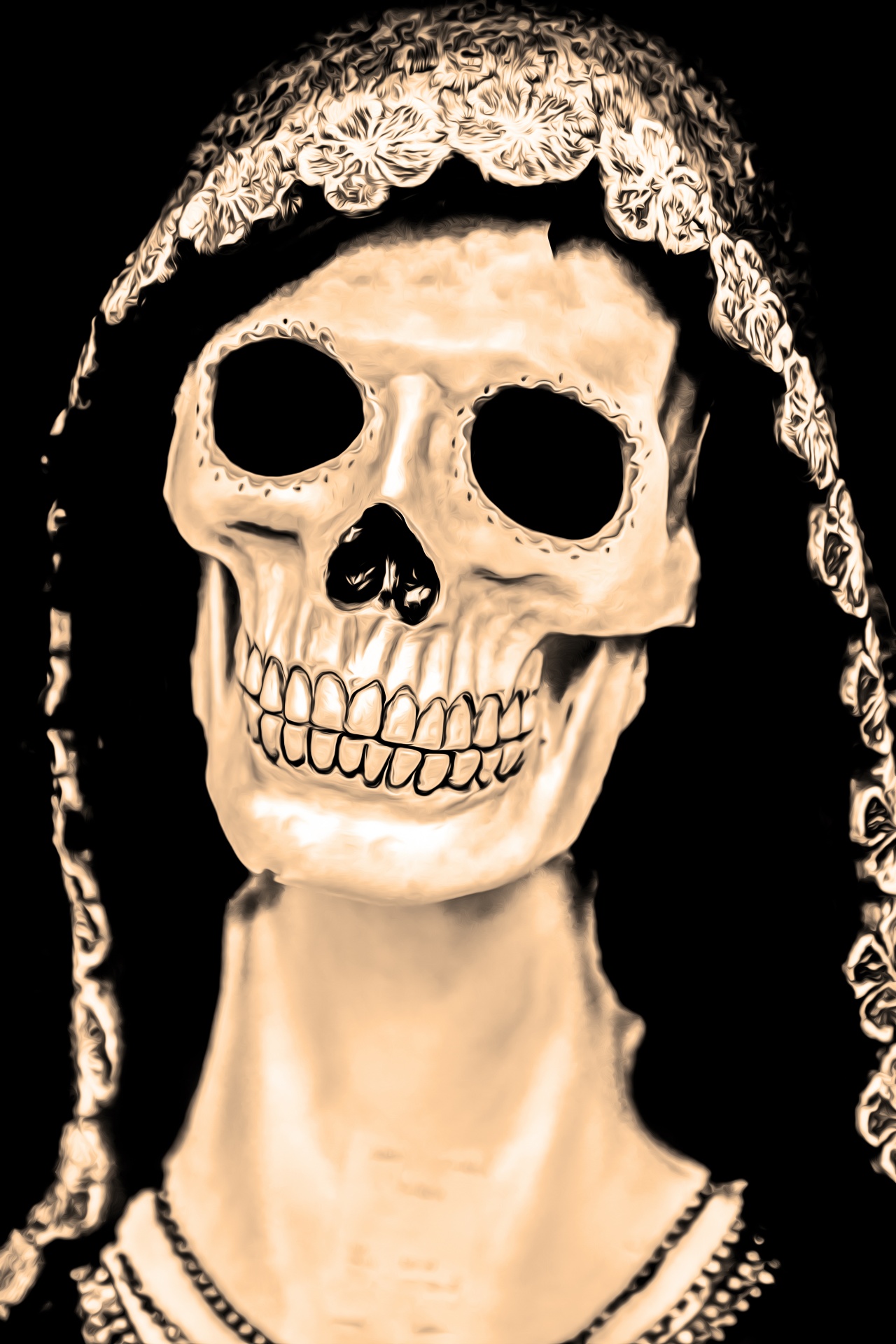 human skull human skeleton spooky free photo