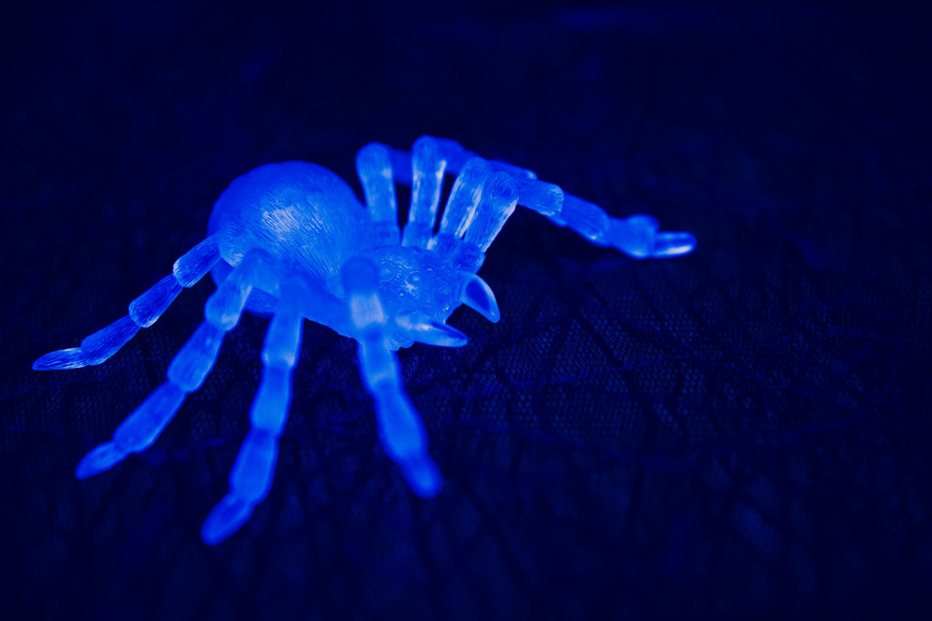 Spider Glows Stock Photos - Free & Royalty-Free Stock Photos from