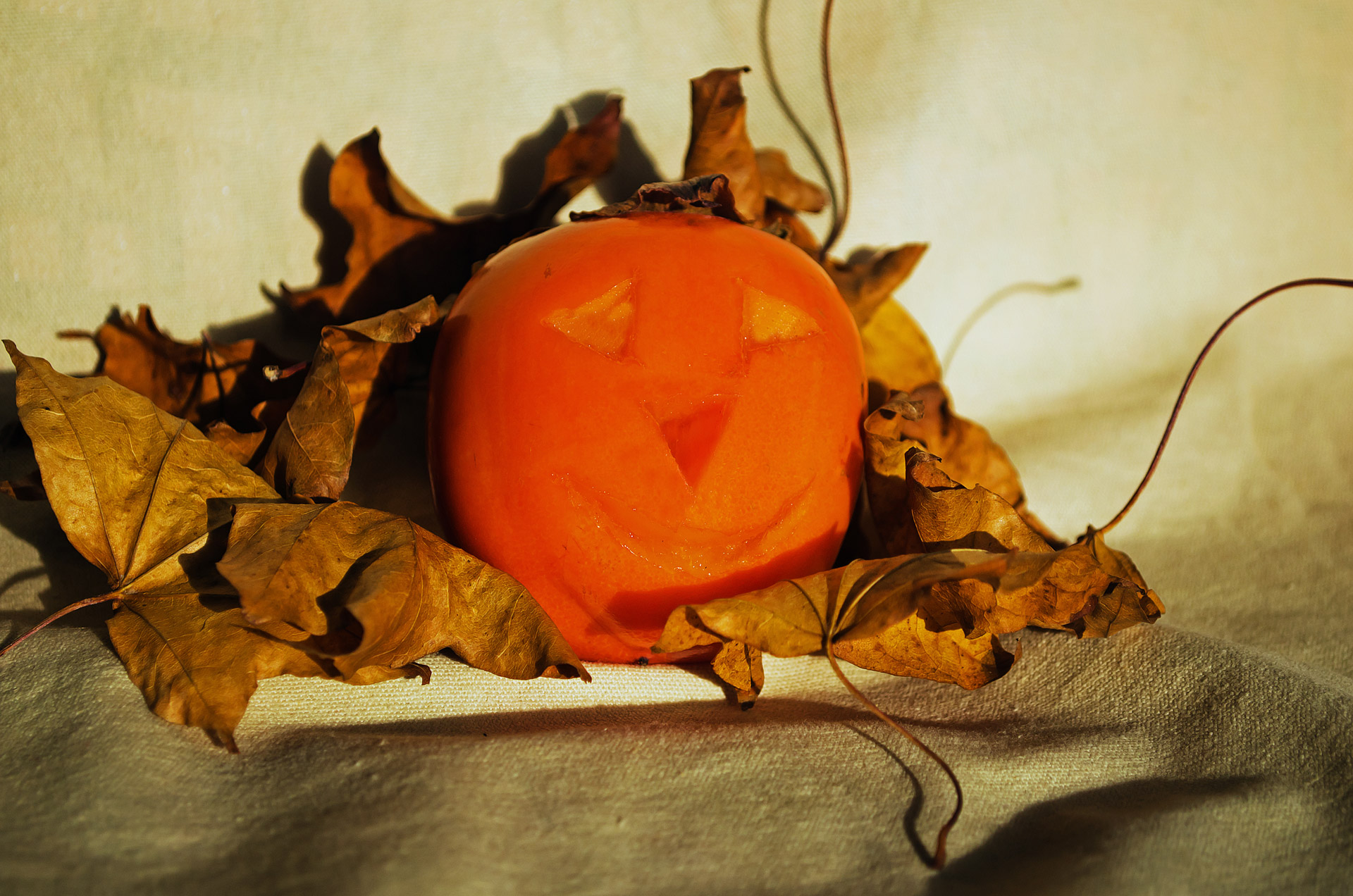 halloween symbol orange free photo