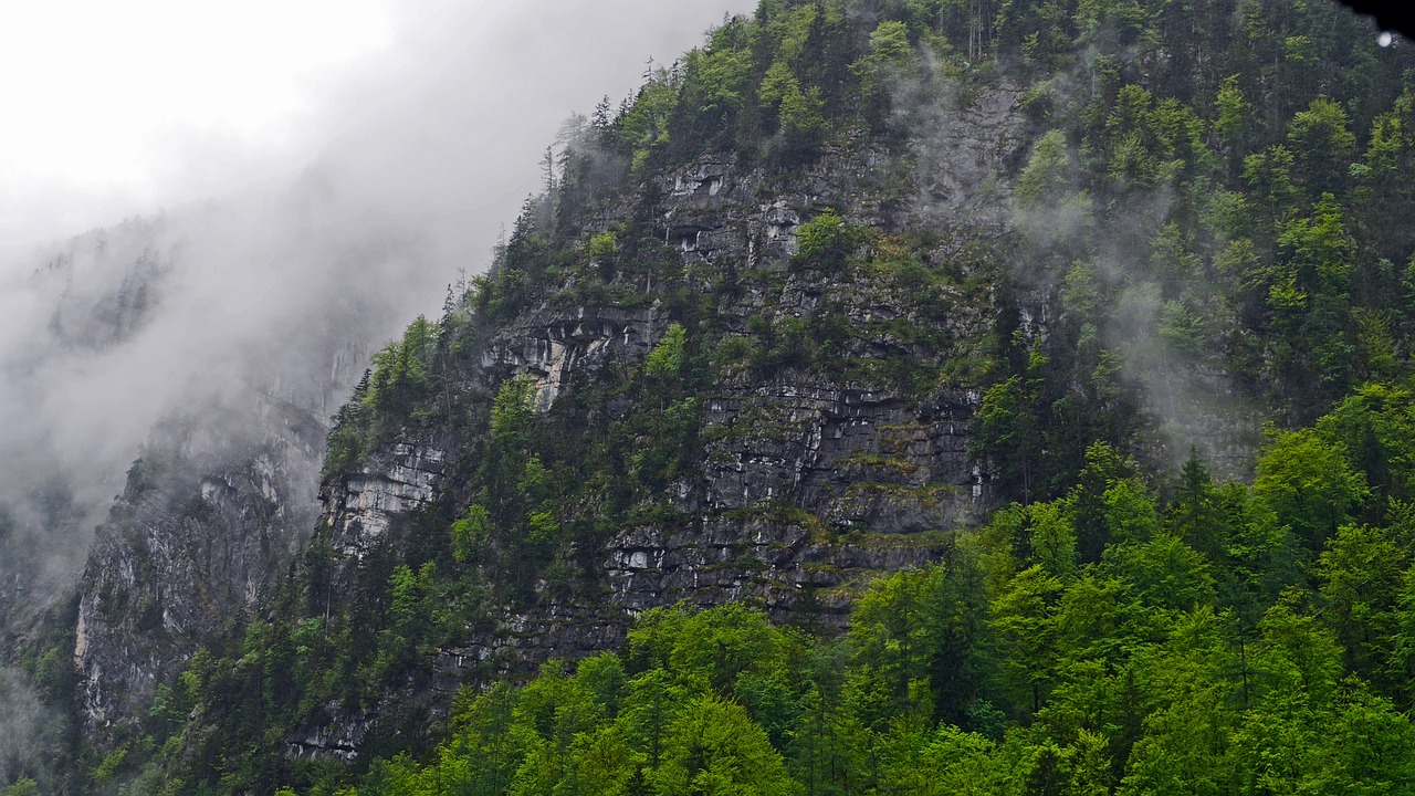 hallstatt mountainside after the rain free photo