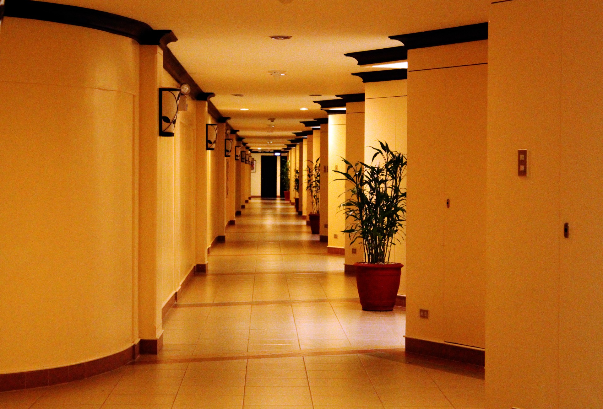 hallway hotel walls free photo