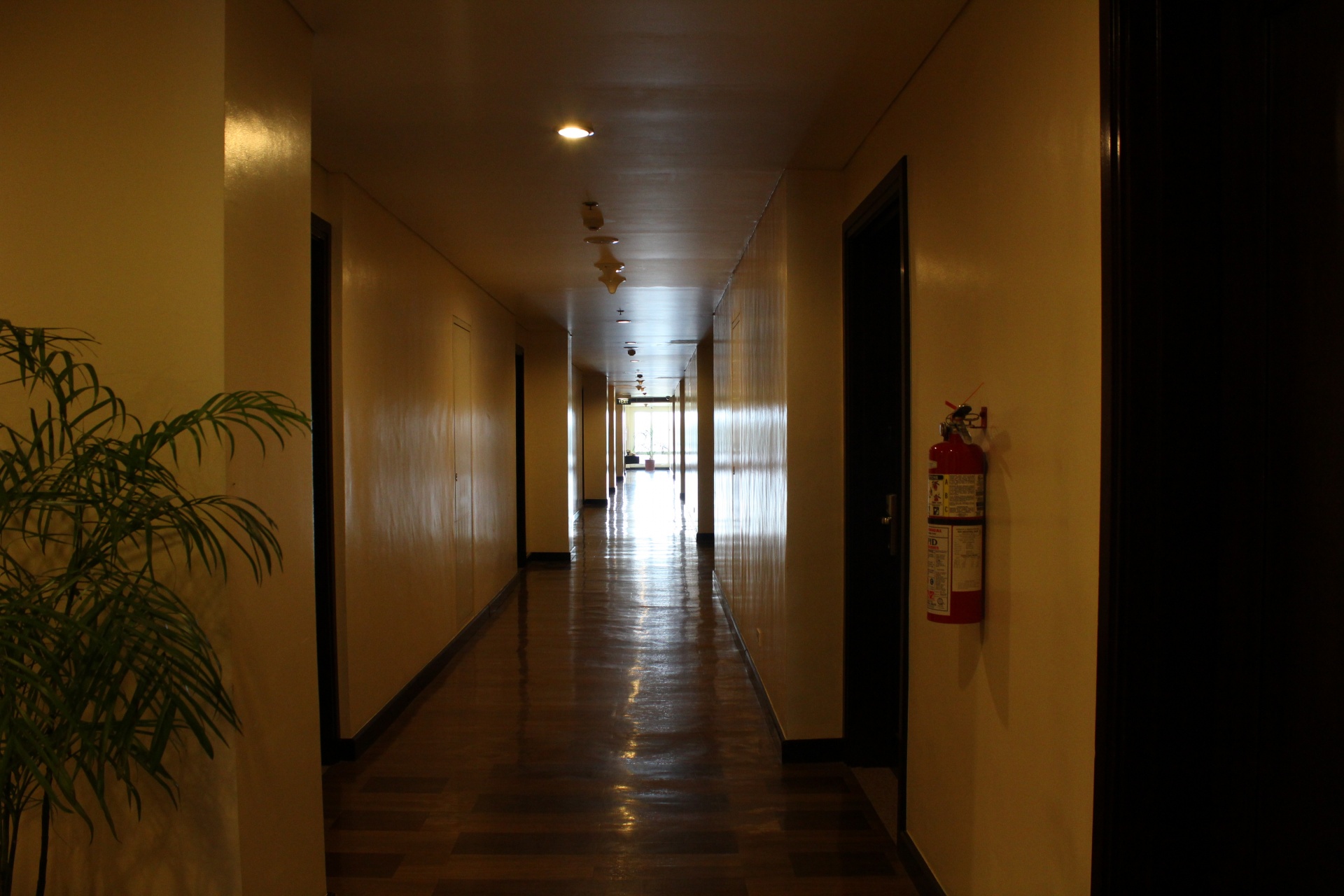 hotel hallway hallway walls free photo