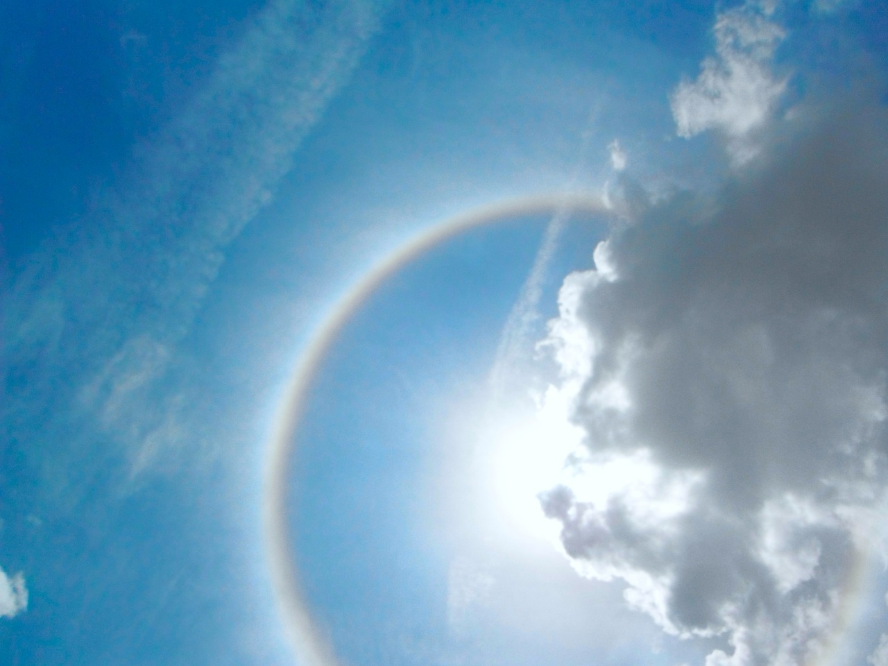 halo sun sky free photo