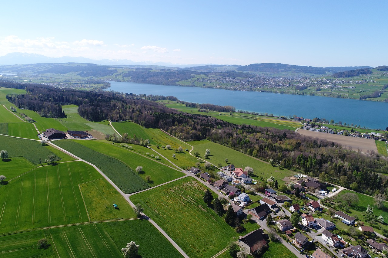 halwilersee lake aerial view free photo